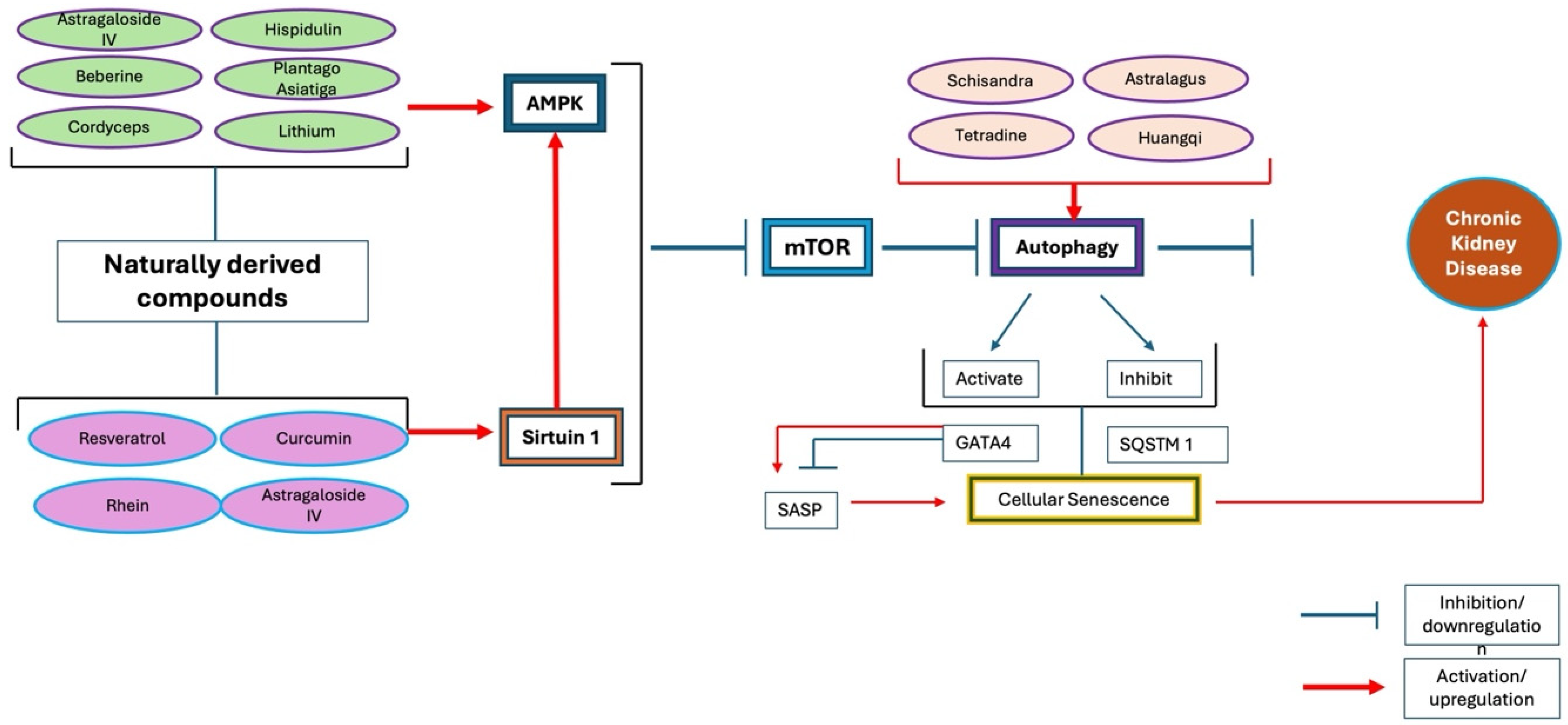 Ijms 26 00003 g003 Ijms 26 00003 g003