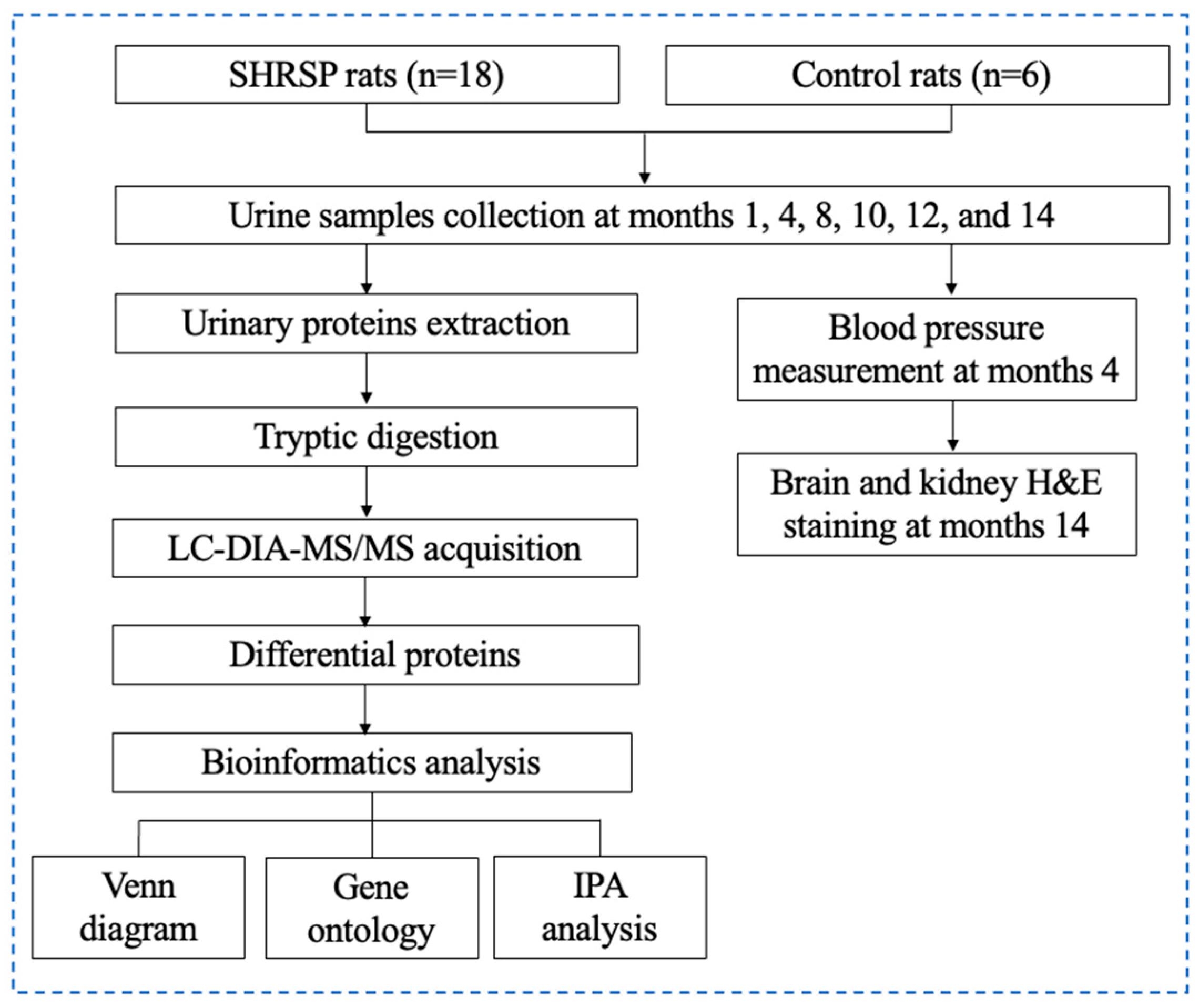 Ijms 26 00021 g001 Ijms 26 00021 g001