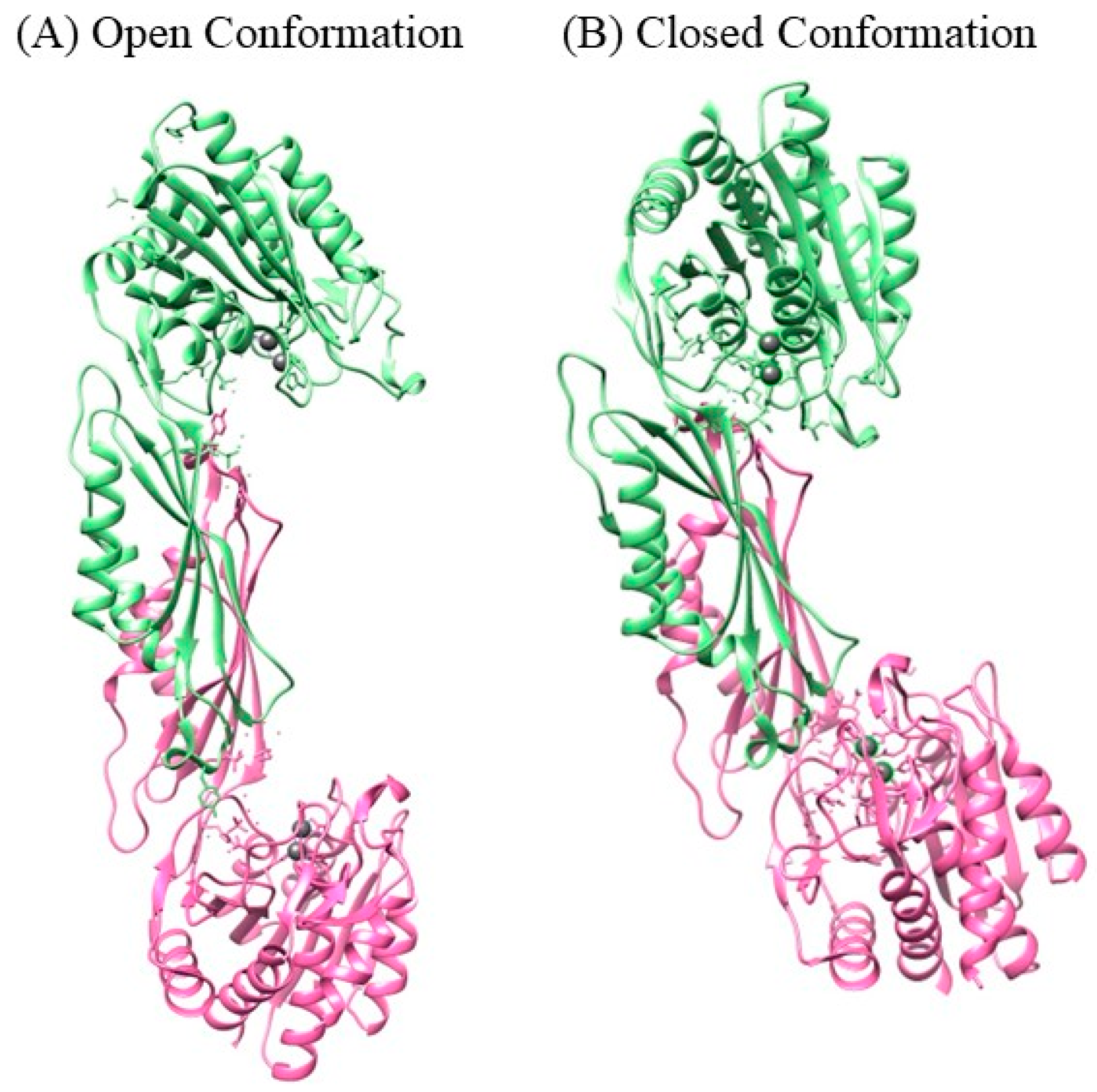 Ijms 26 00022 g001 Ijms 26 00022 g001