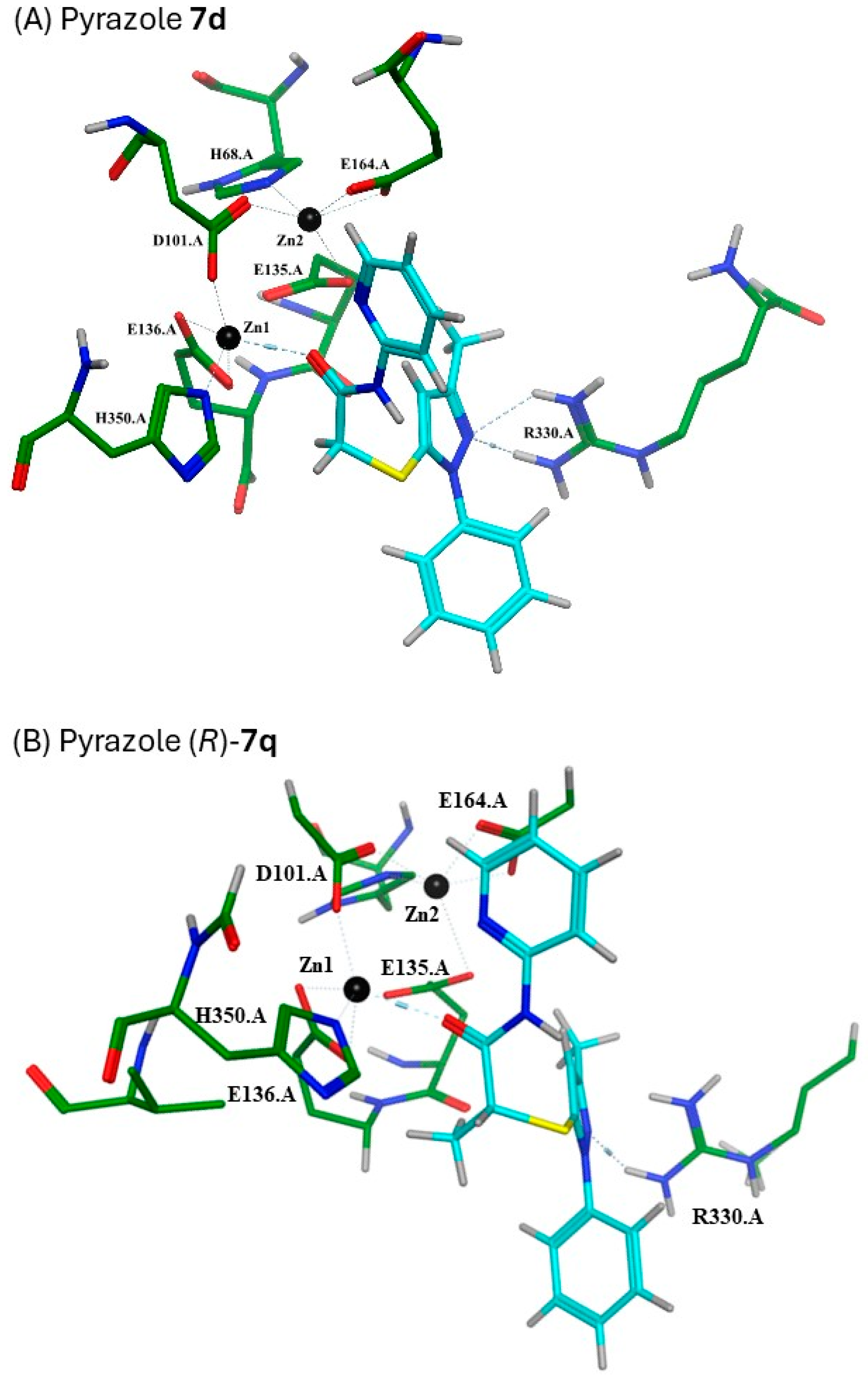 Ijms 26 00022 g003a Ijms 26 00022 g003a