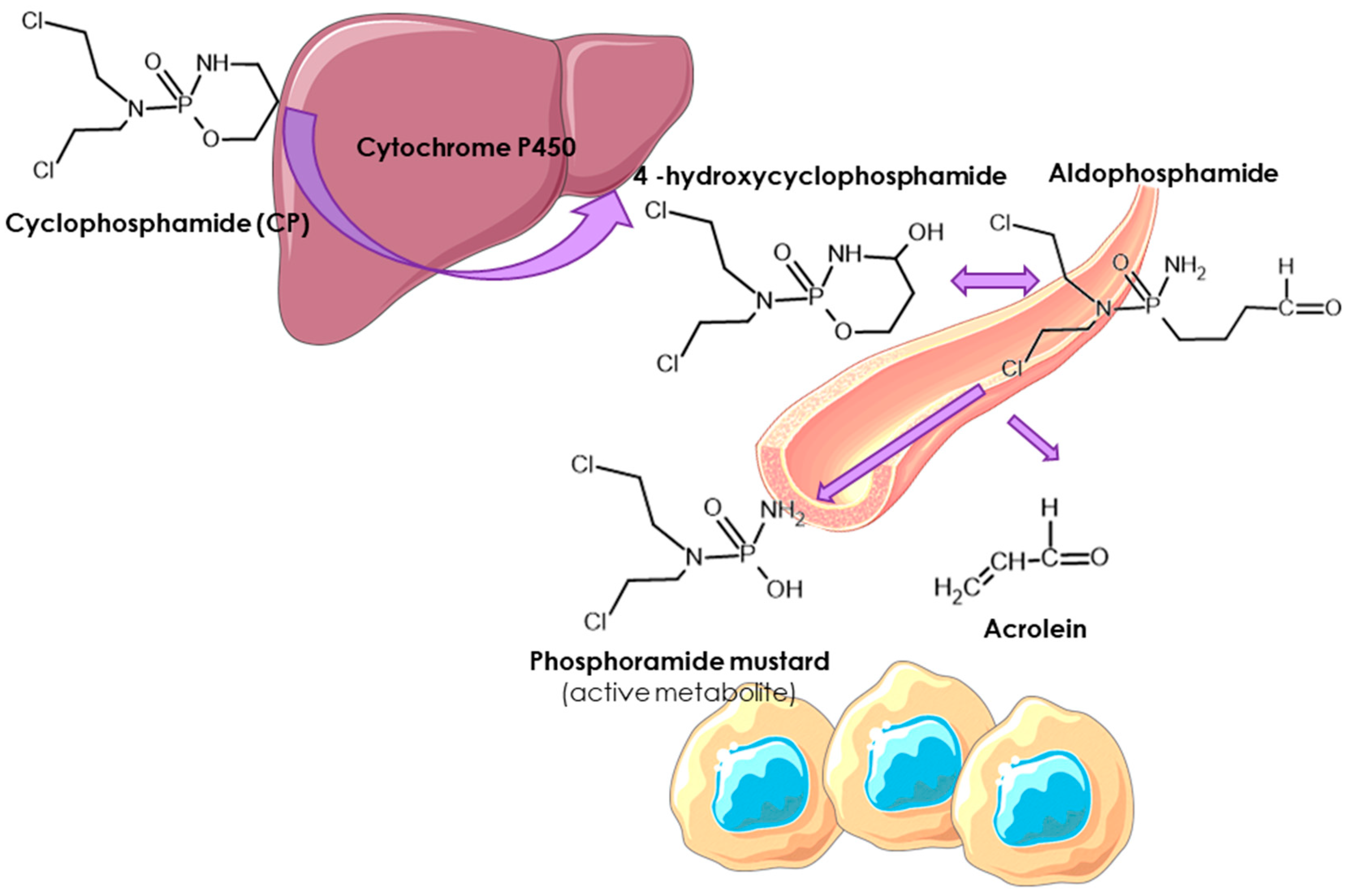 Ijms 26 00035 g001 Ijms 26 00035 g001