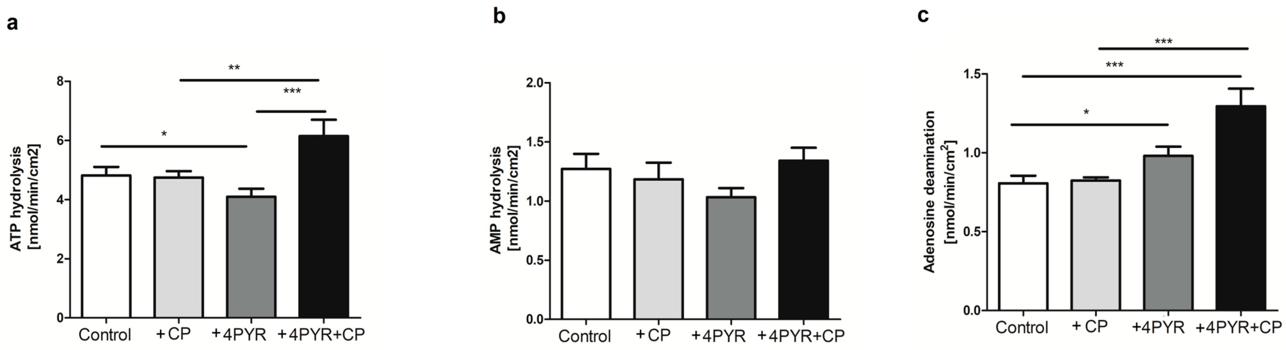 Ijms 26 00035 g004 Ijms 26 00035 g004