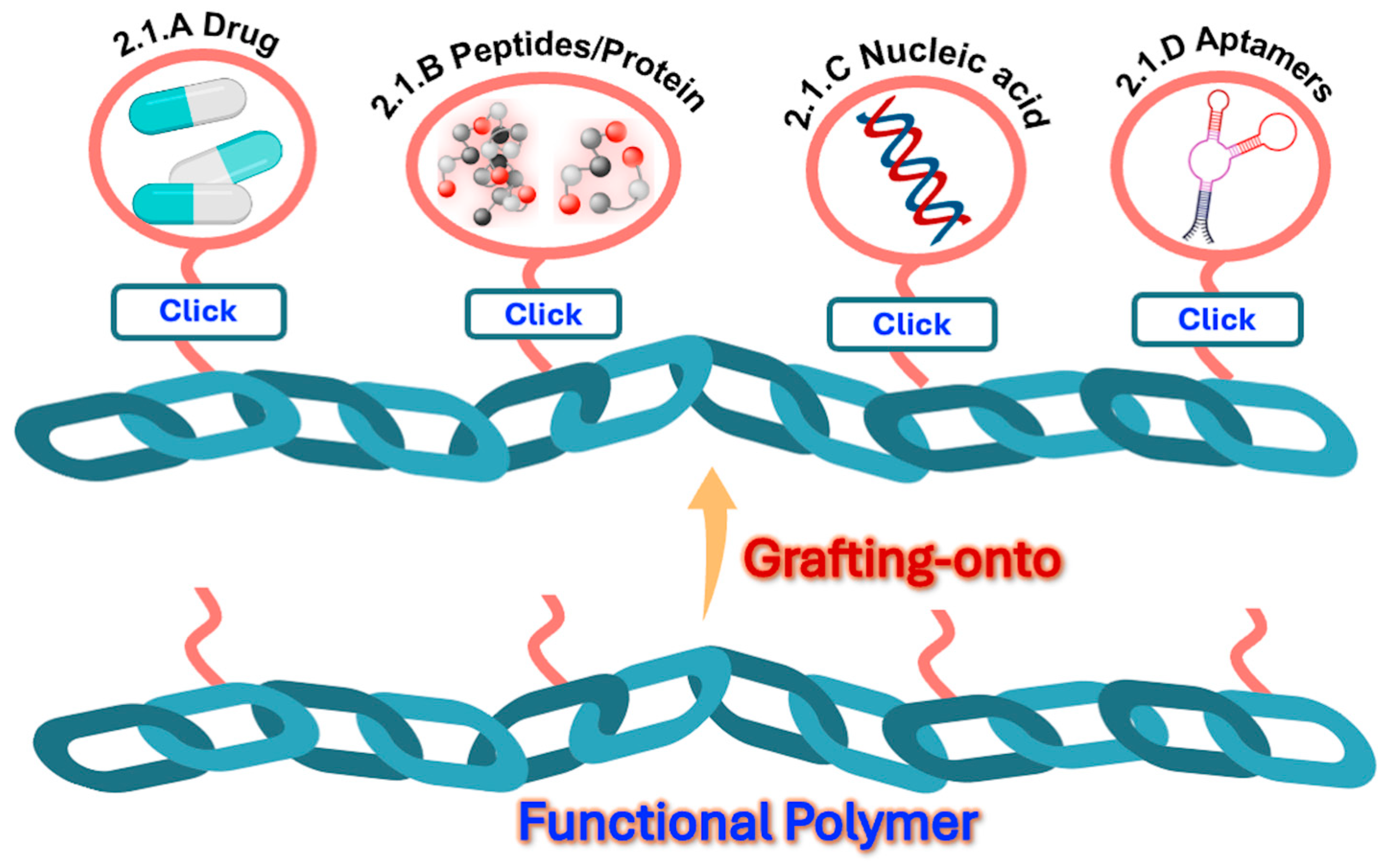 Ijms 26 00036 g002 Ijms 26 00036 g002
