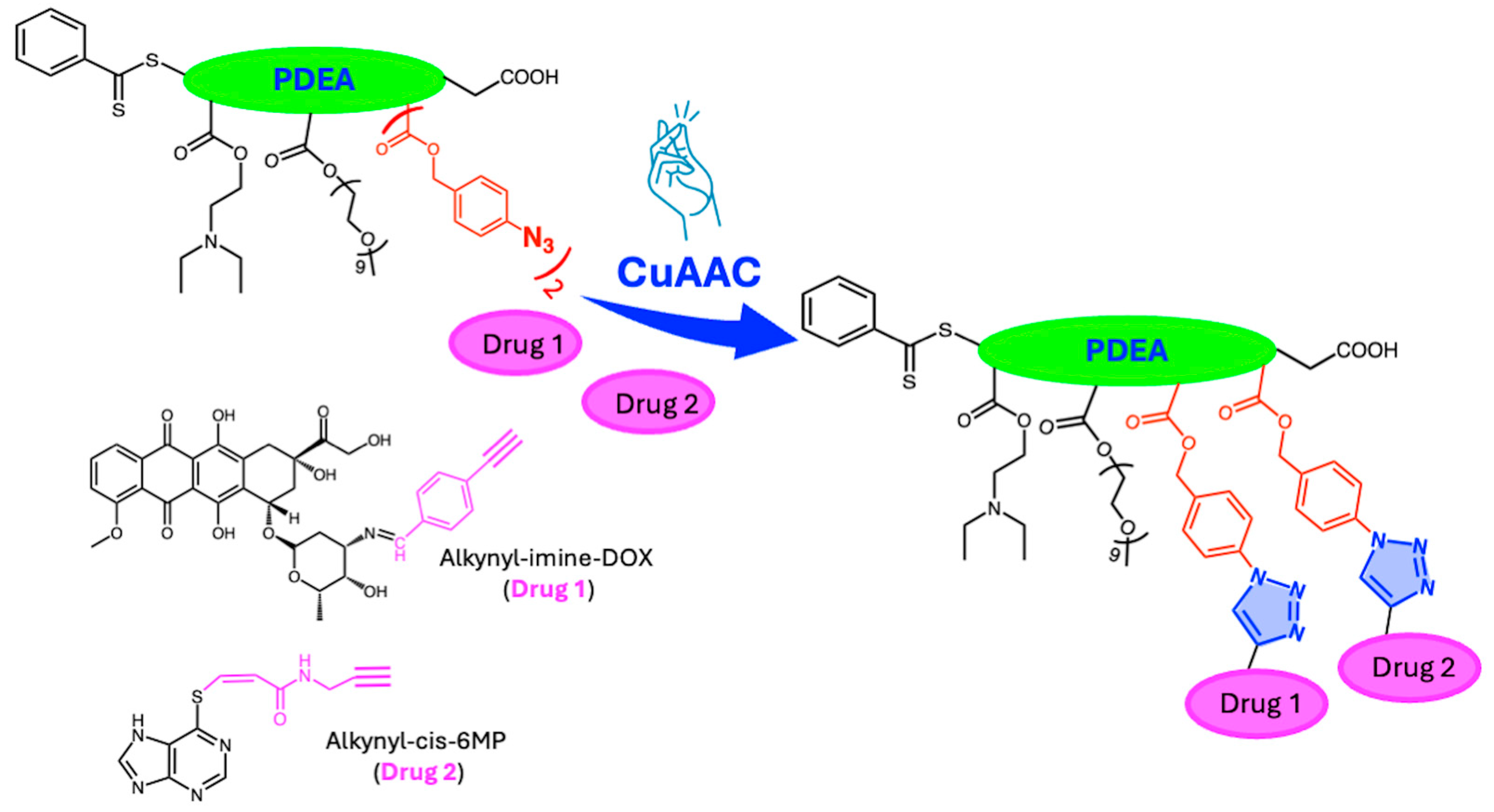 Ijms 26 00036 g003 Ijms 26 00036 g003