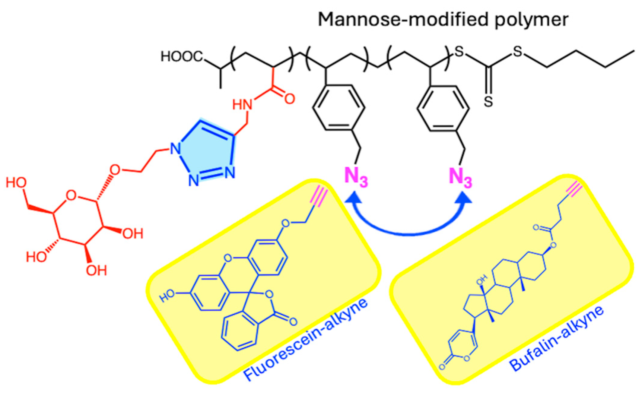 Ijms 26 00036 g004 Ijms 26 00036 g004