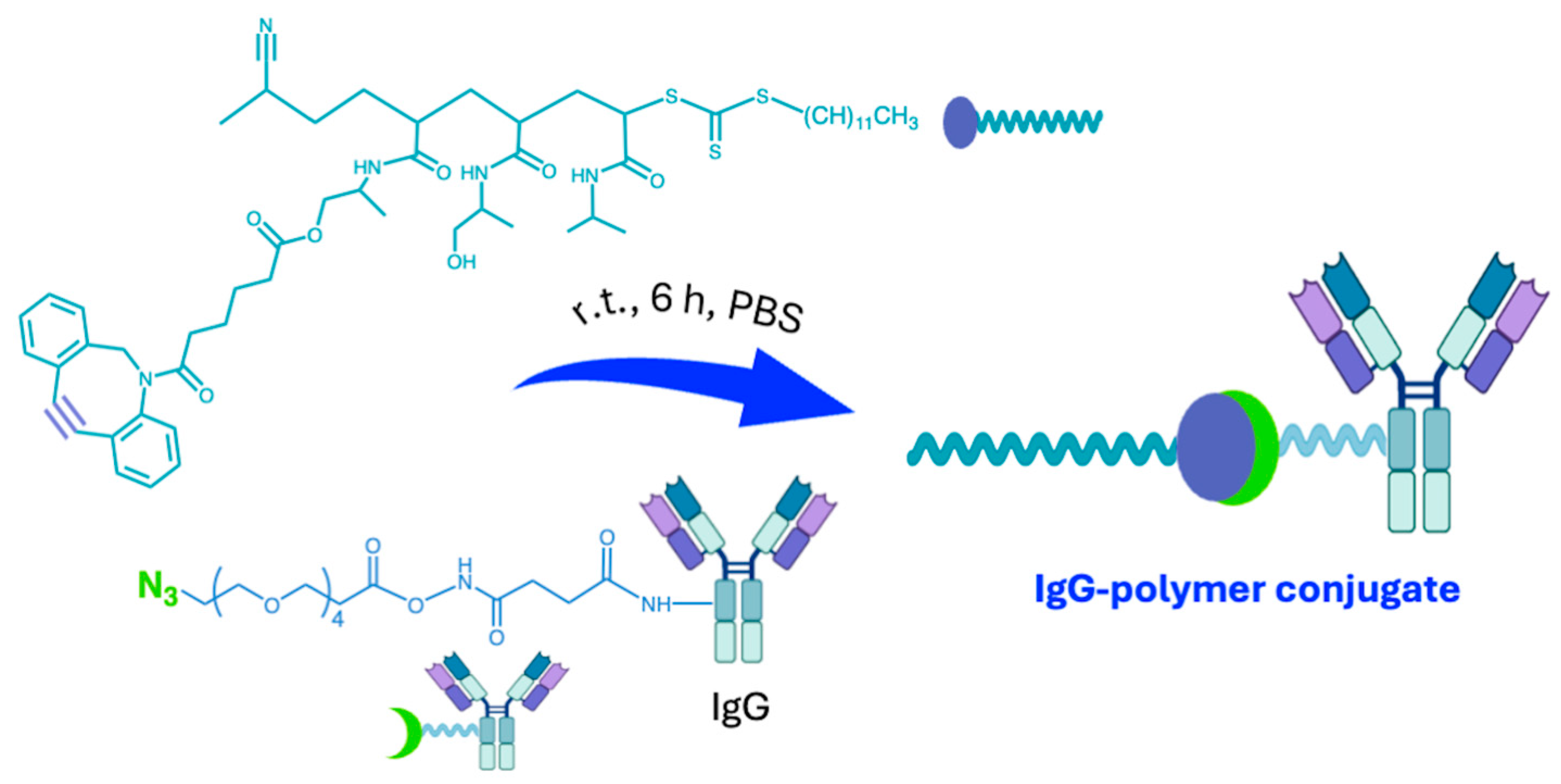 Ijms 26 00036 g006 Ijms 26 00036 g006