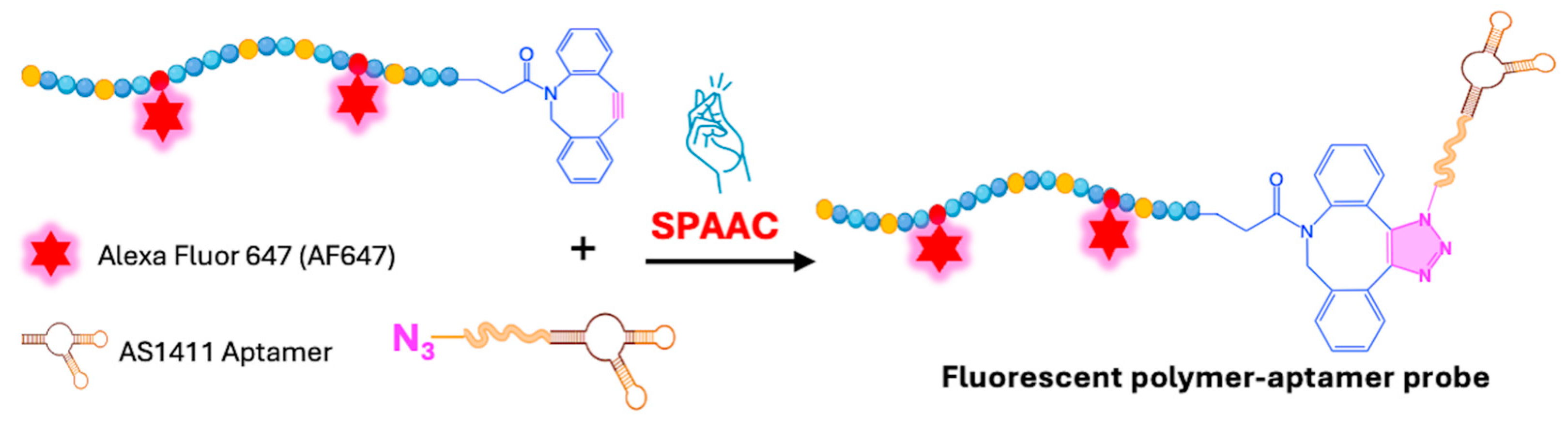 Ijms 26 00036 g009 Ijms 26 00036 g009