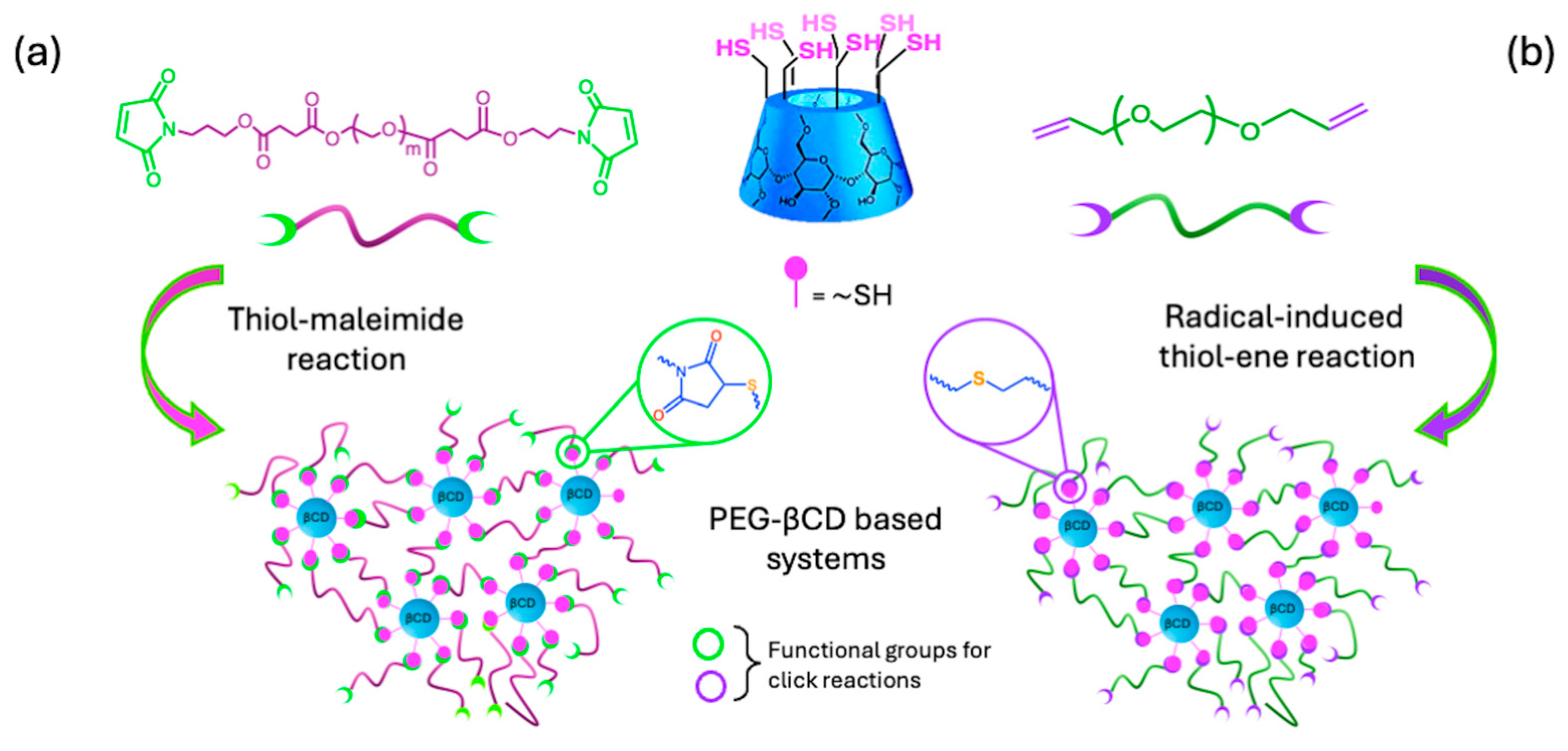 Ijms 26 00036 g014 Ijms 26 00036 g014