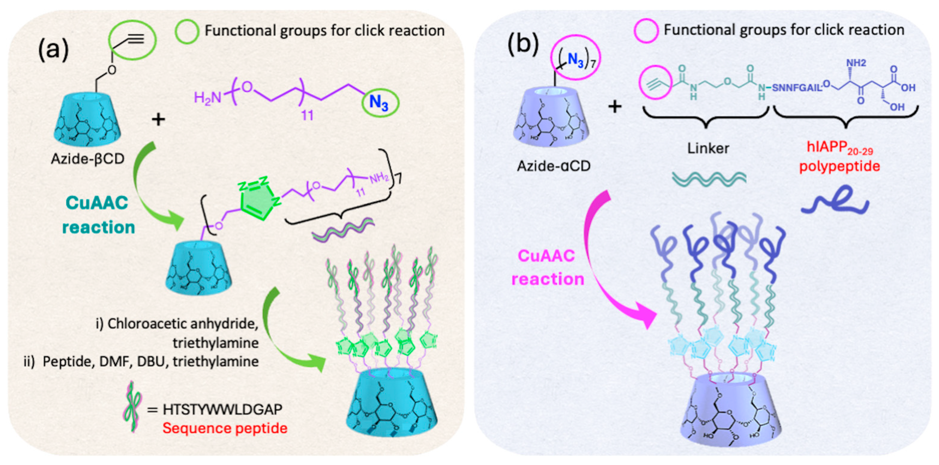 Ijms 26 00036 g015 Ijms 26 00036 g015