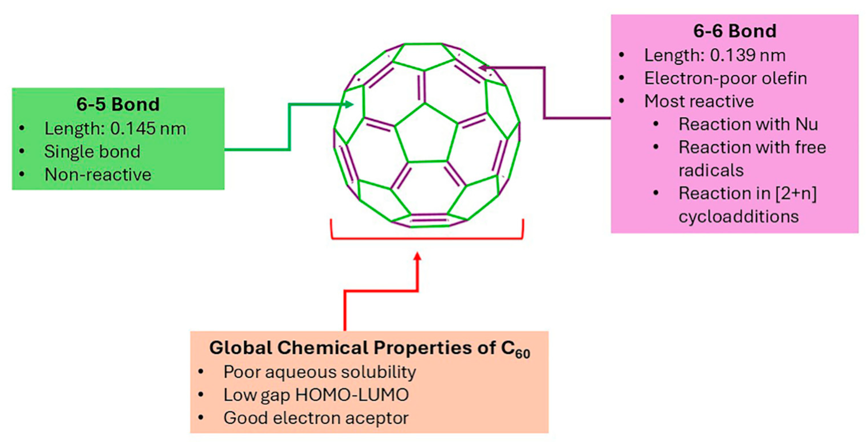 Ijms 26 00036 g017 Ijms 26 00036 g017
