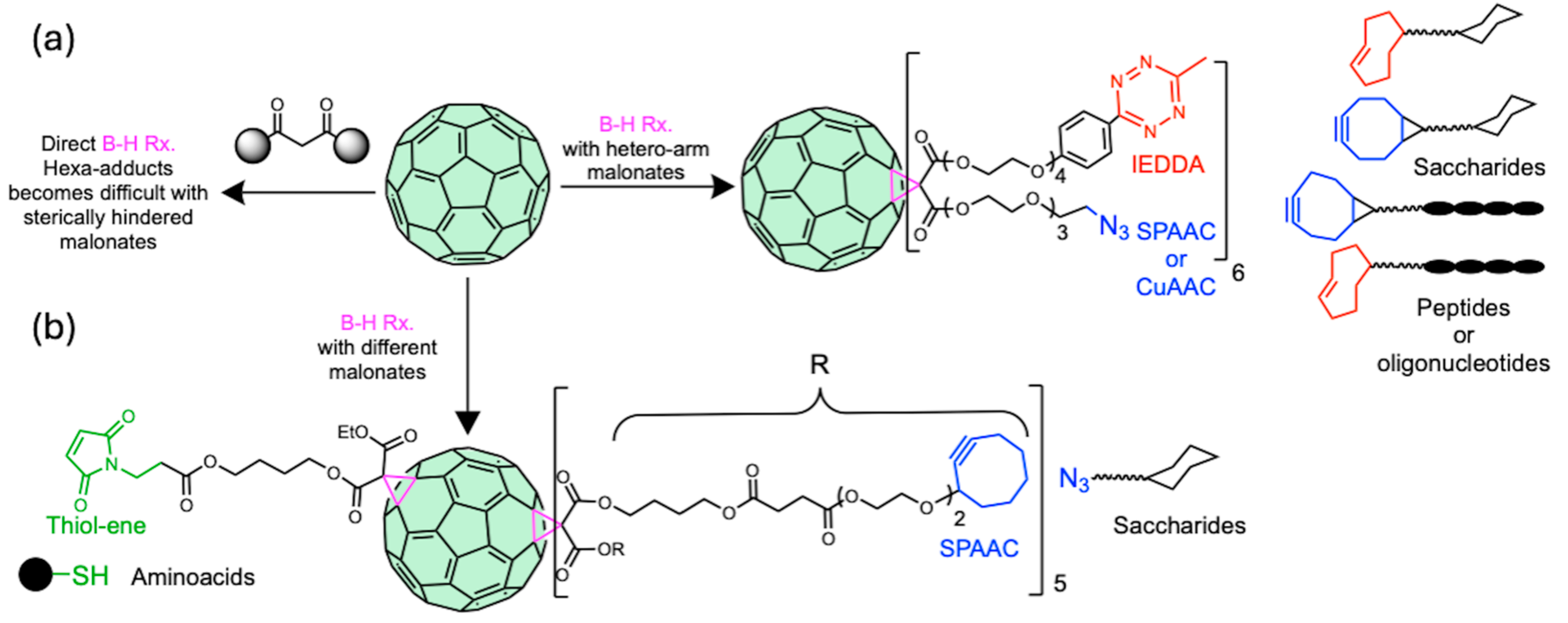 Ijms 26 00036 g018 Ijms 26 00036 g018