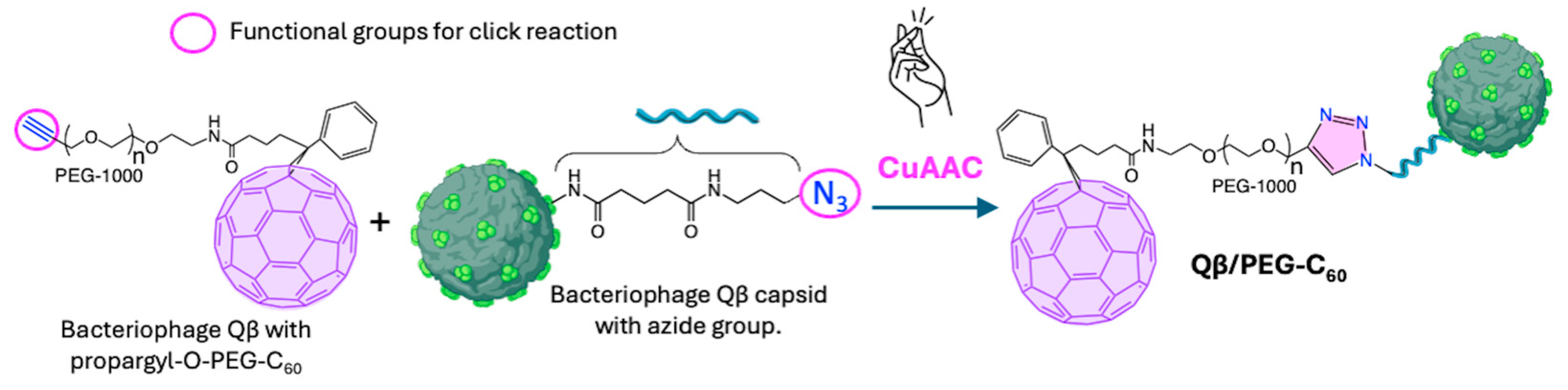 Ijms 26 00036 g020 Ijms 26 00036 g020