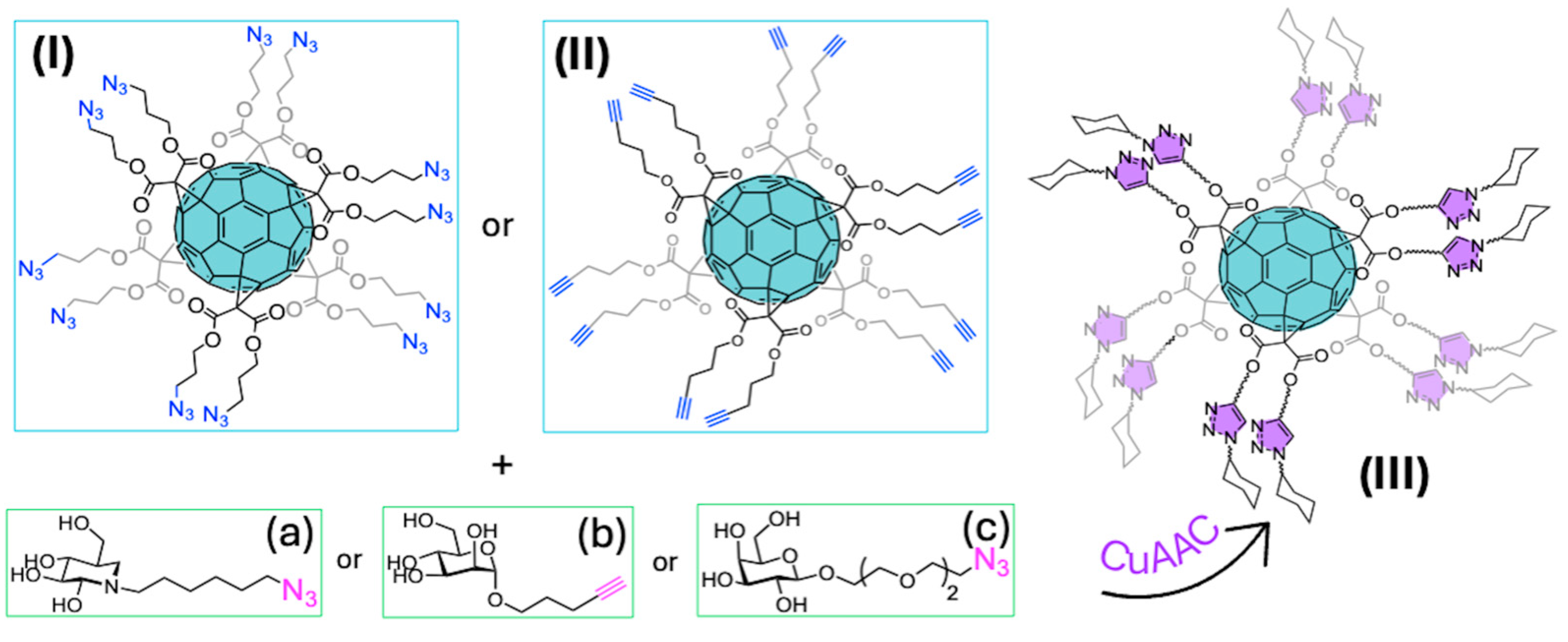 Ijms 26 00036 g021 Ijms 26 00036 g021