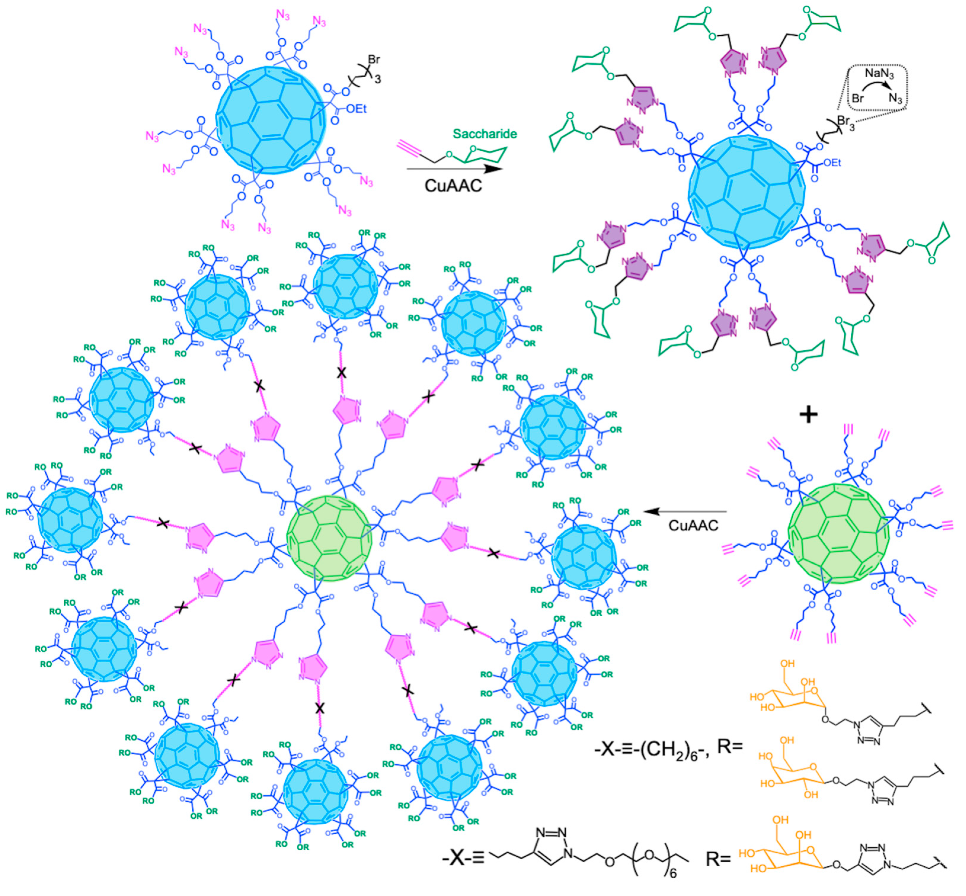 Ijms 26 00036 g023 Ijms 26 00036 g023