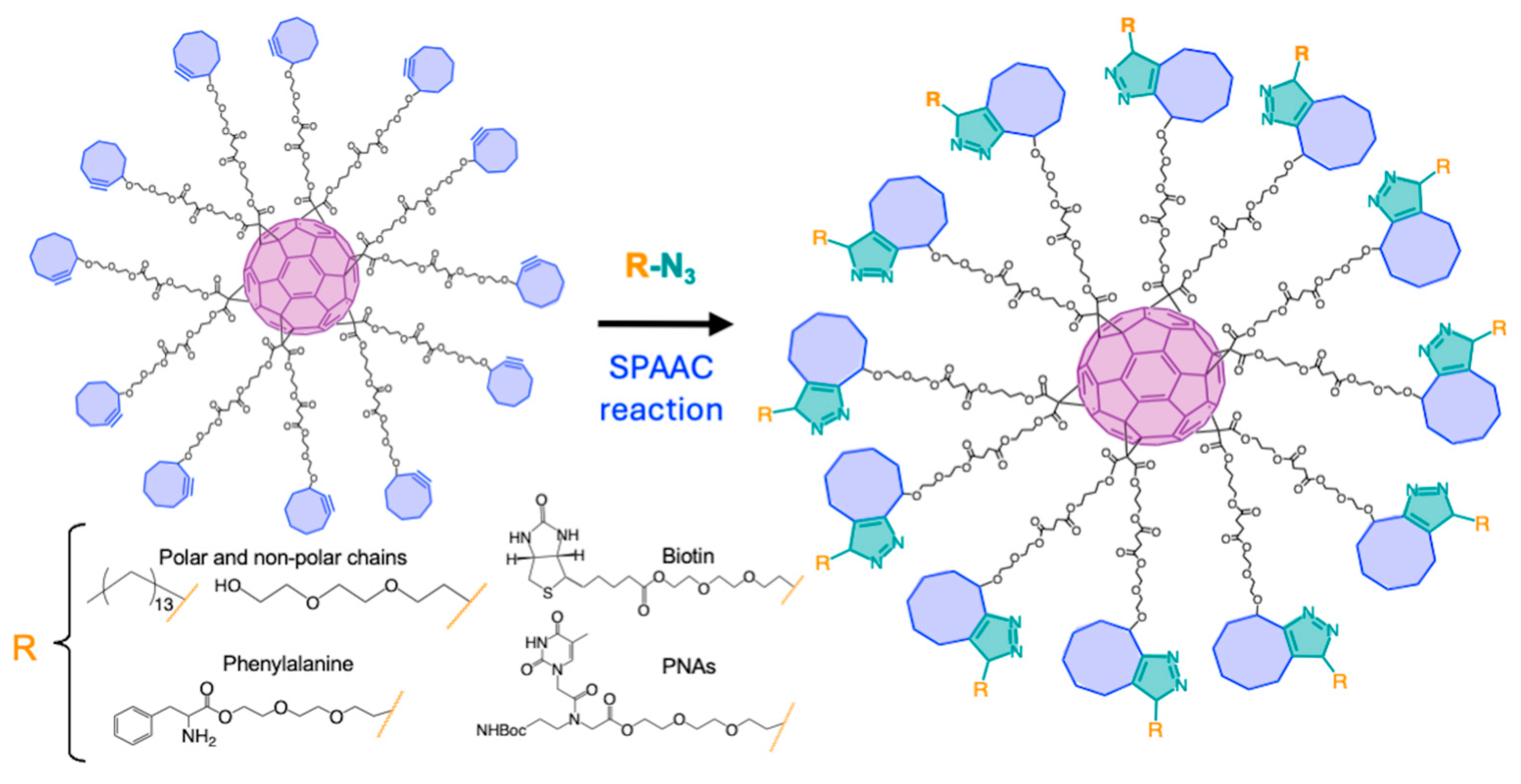 Ijms 26 00036 g024 Ijms 26 00036 g024