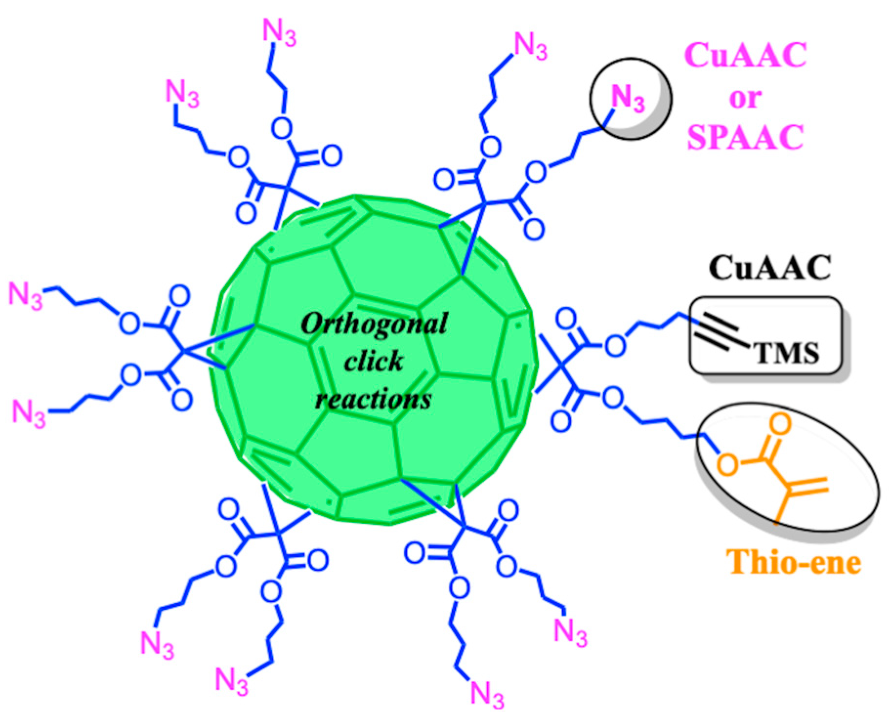 Ijms 26 00036 g025 Ijms 26 00036 g025