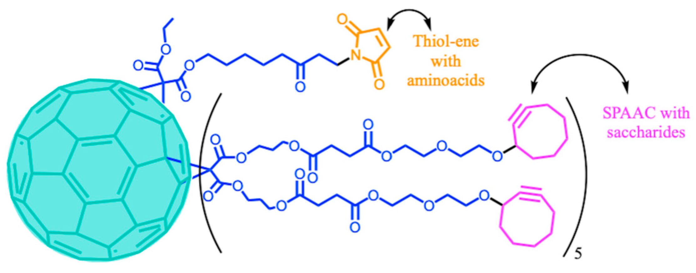 Ijms 26 00036 g026 Ijms 26 00036 g026