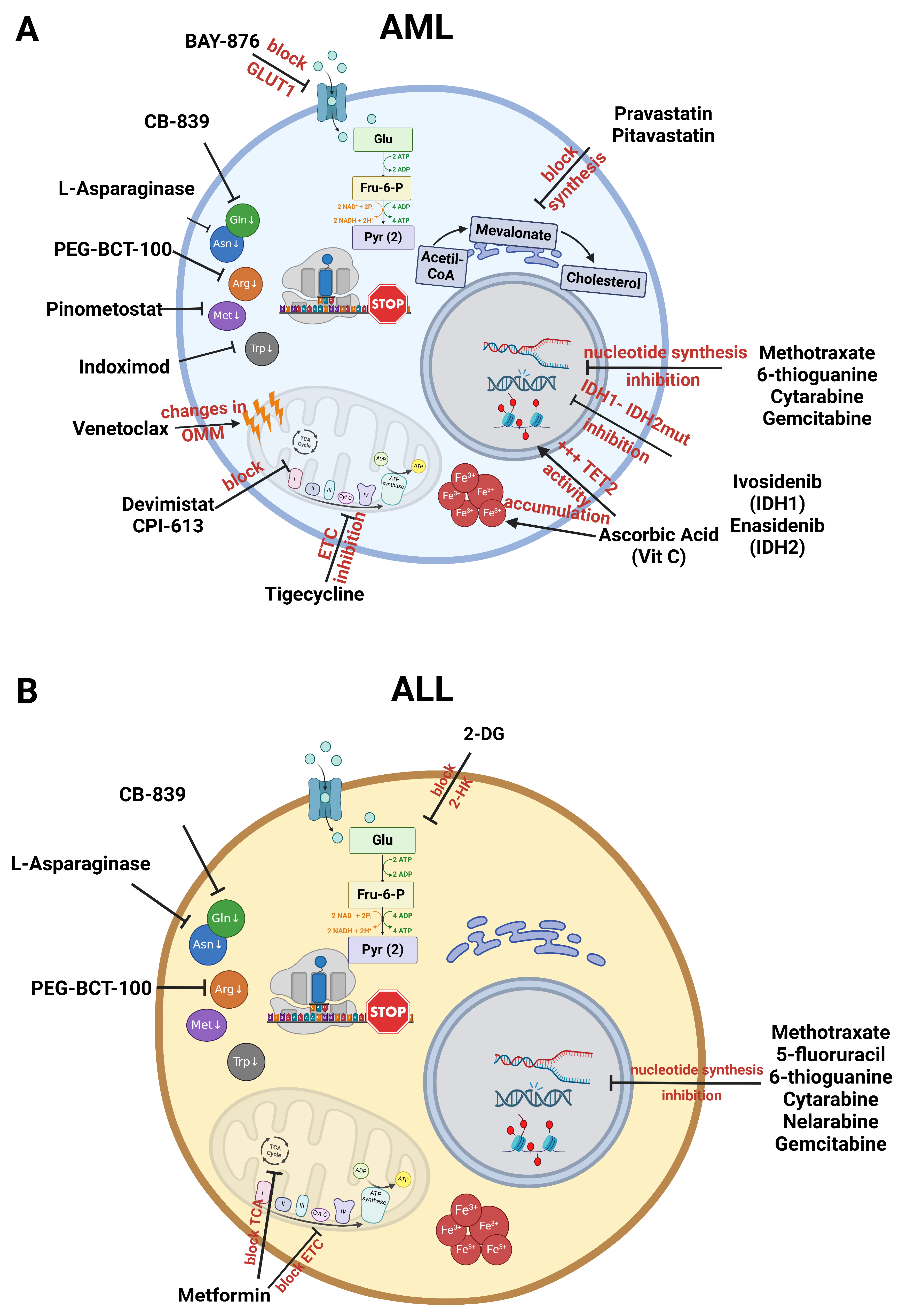 Ijms 26 00045 g002 Ijms 26 00045 g002