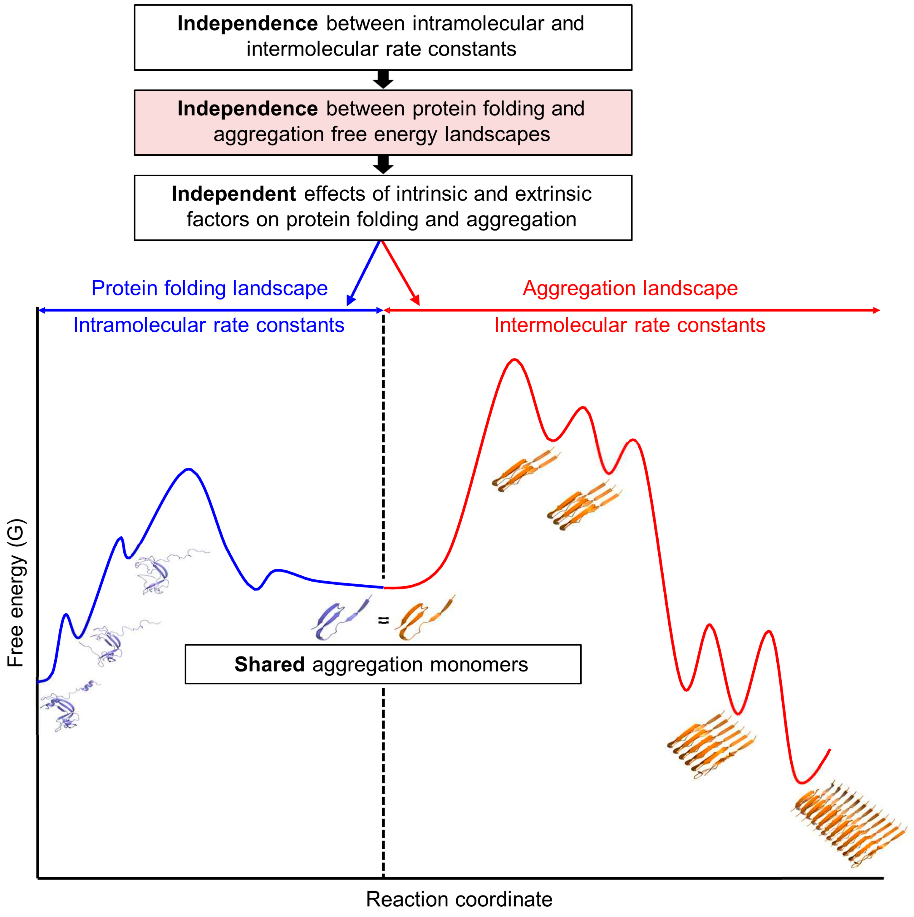 Ijms 26 00053 g002 Ijms 26 00053 g002