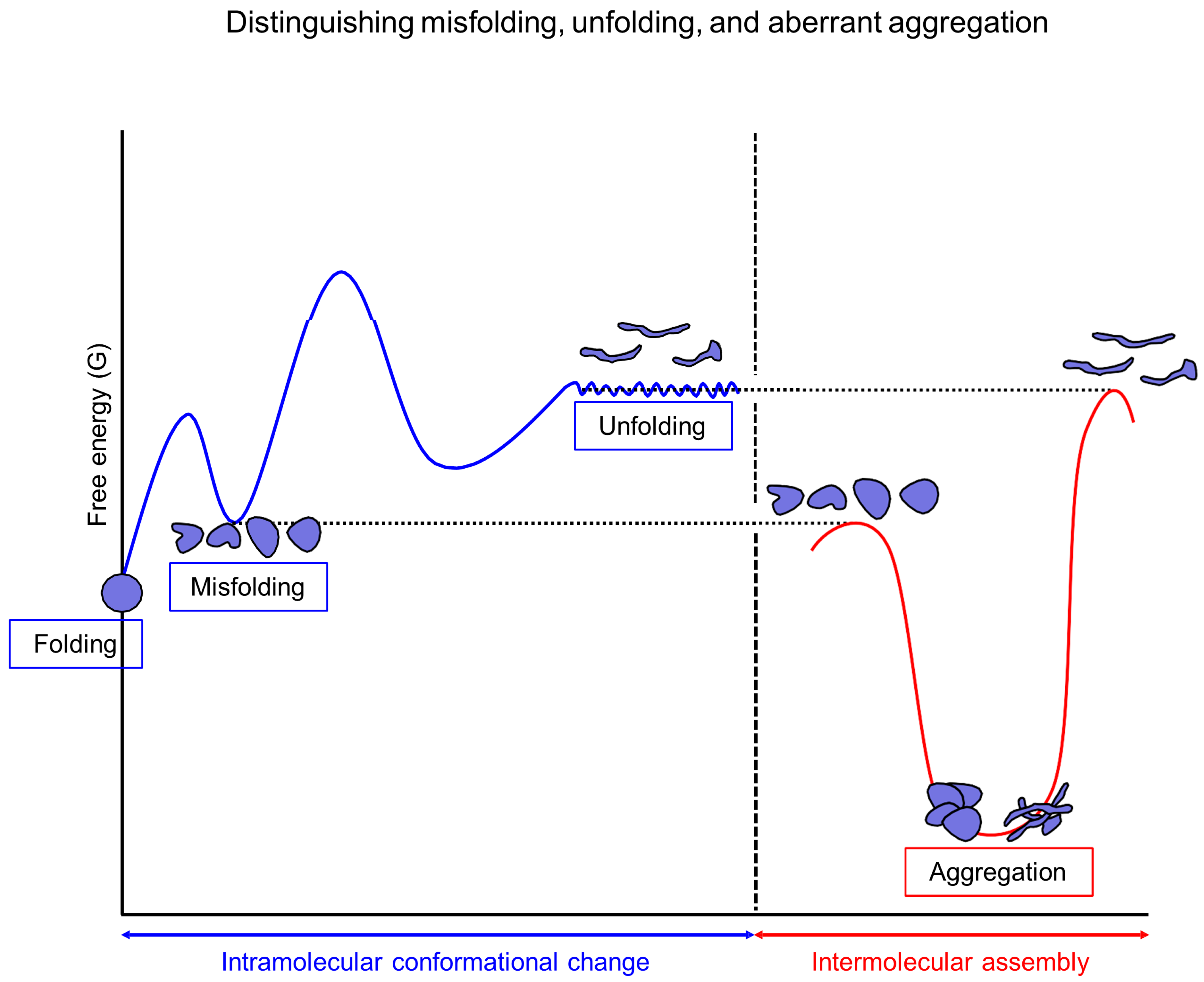 Ijms 26 00053 g003 Ijms 26 00053 g003