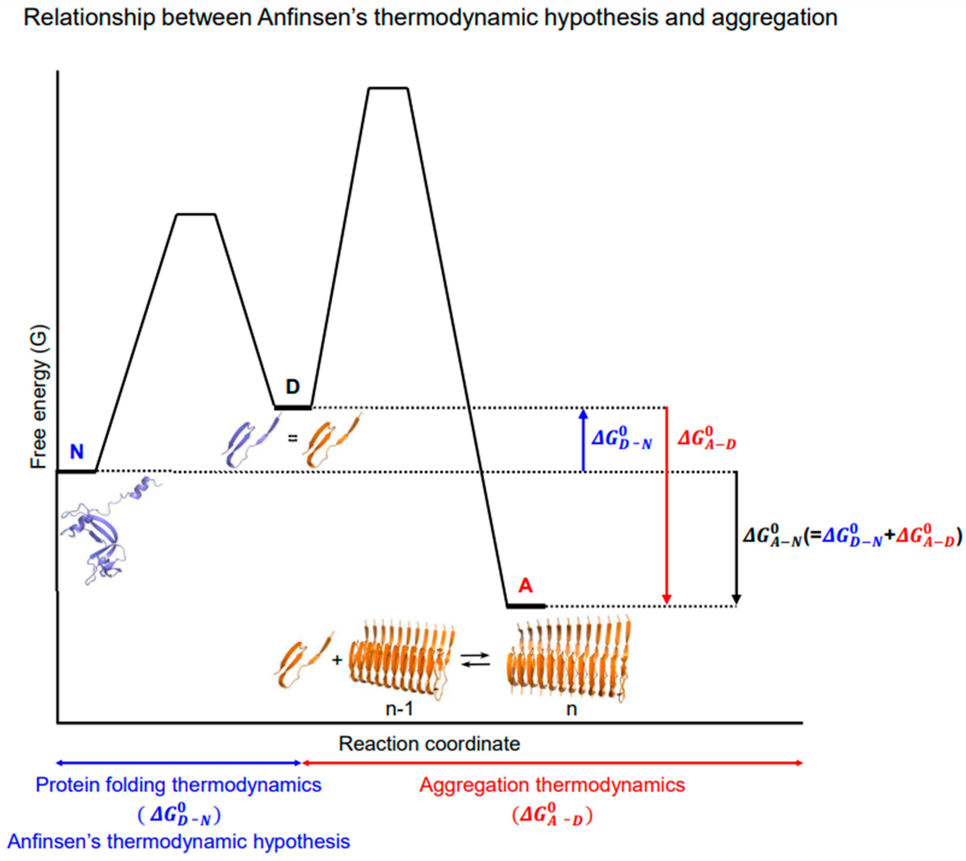 Ijms 26 00053 g004 Ijms 26 00053 g004
