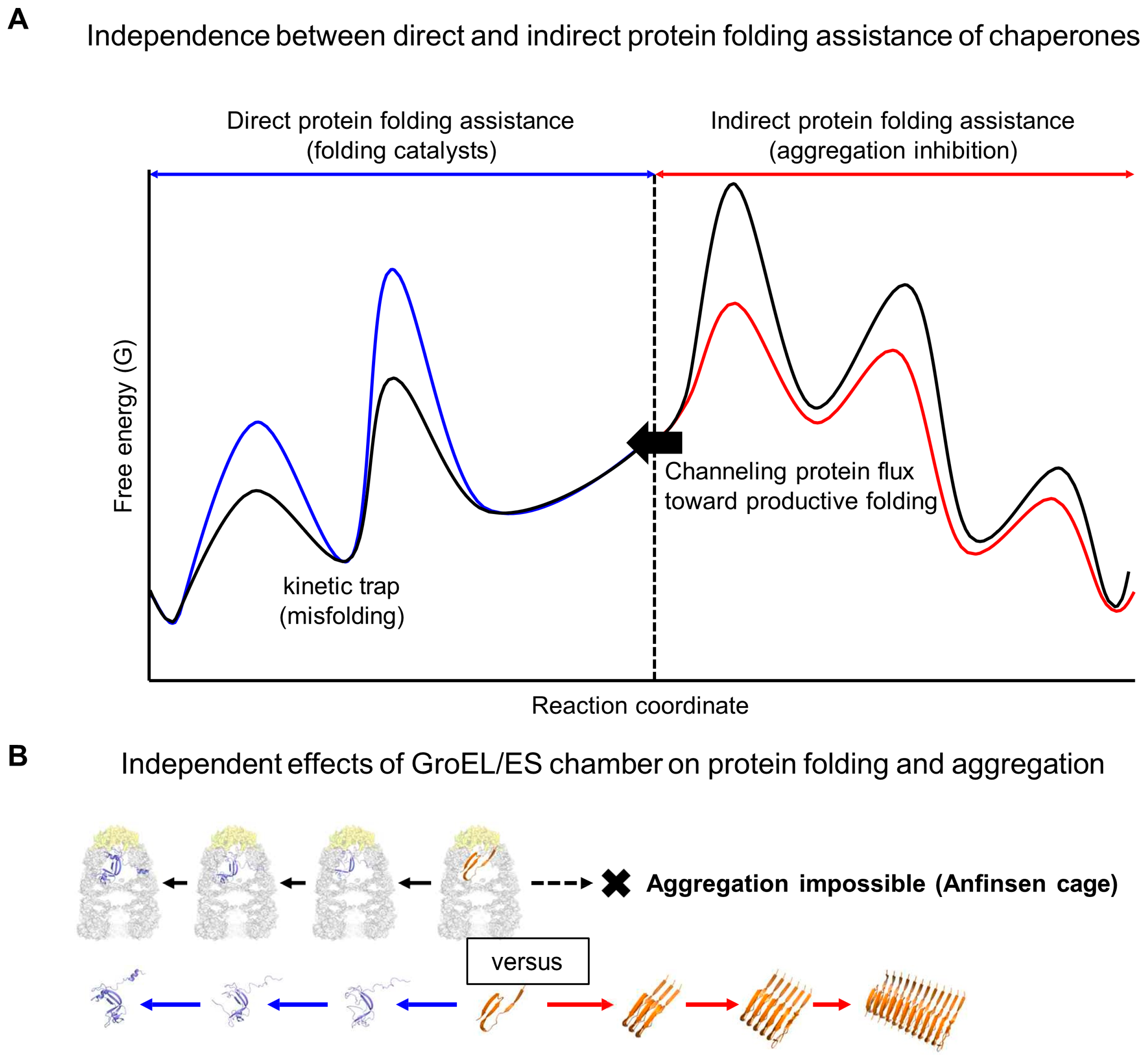Ijms 26 00053 g005 Ijms 26 00053 g005
