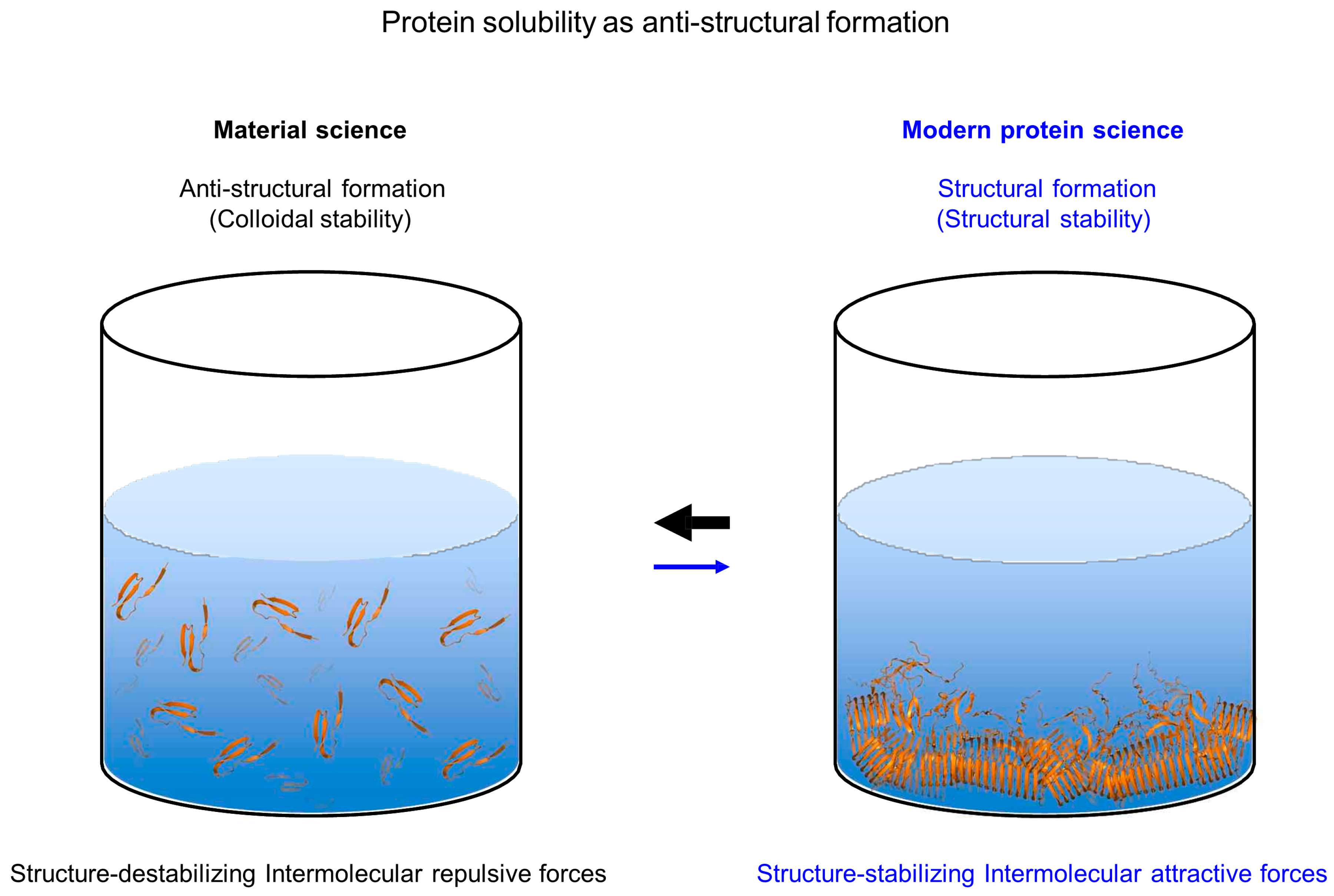 Ijms 26 00053 g008 Ijms 26 00053 g008