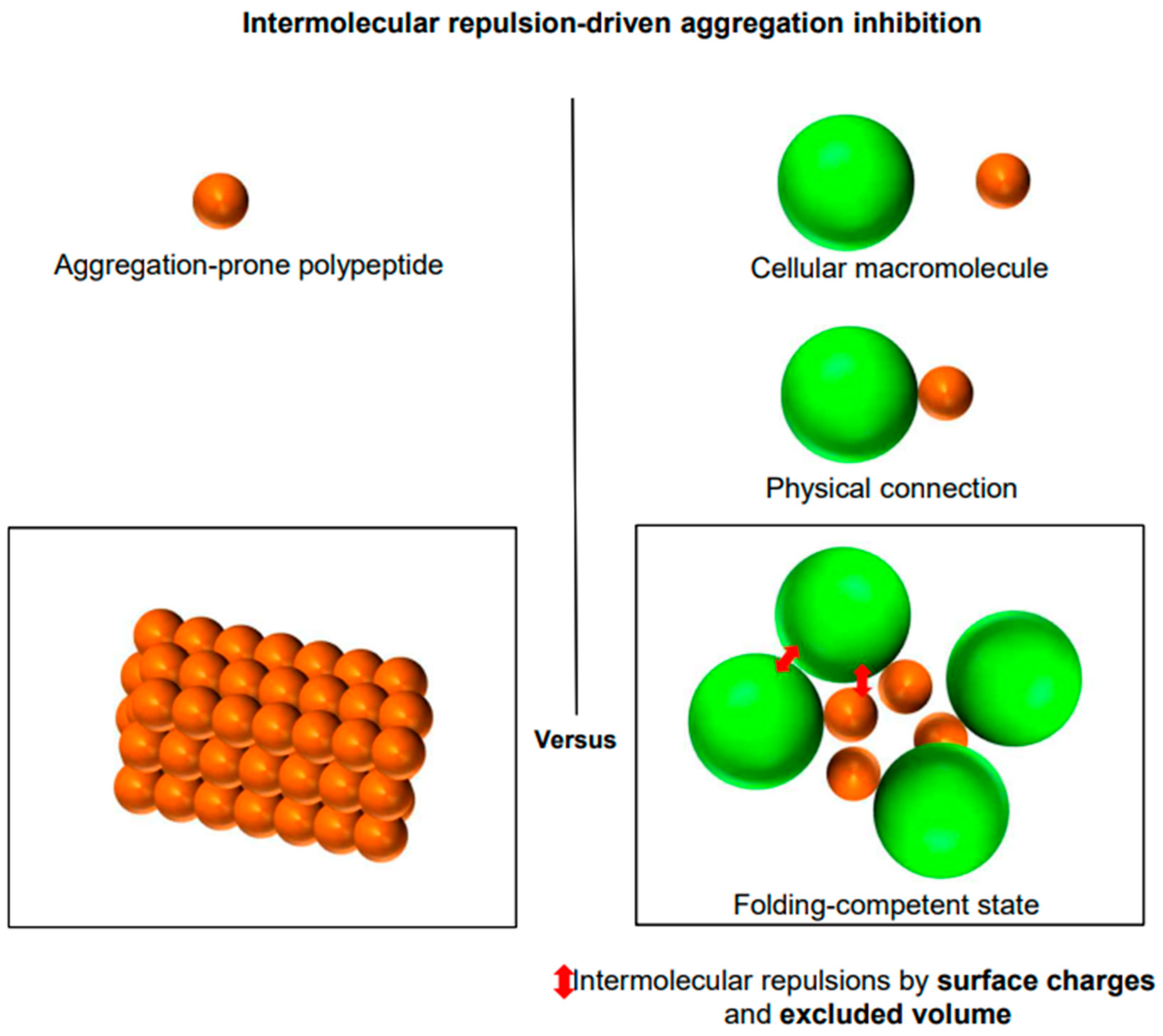 Ijms 26 00053 g009 Ijms 26 00053 g009