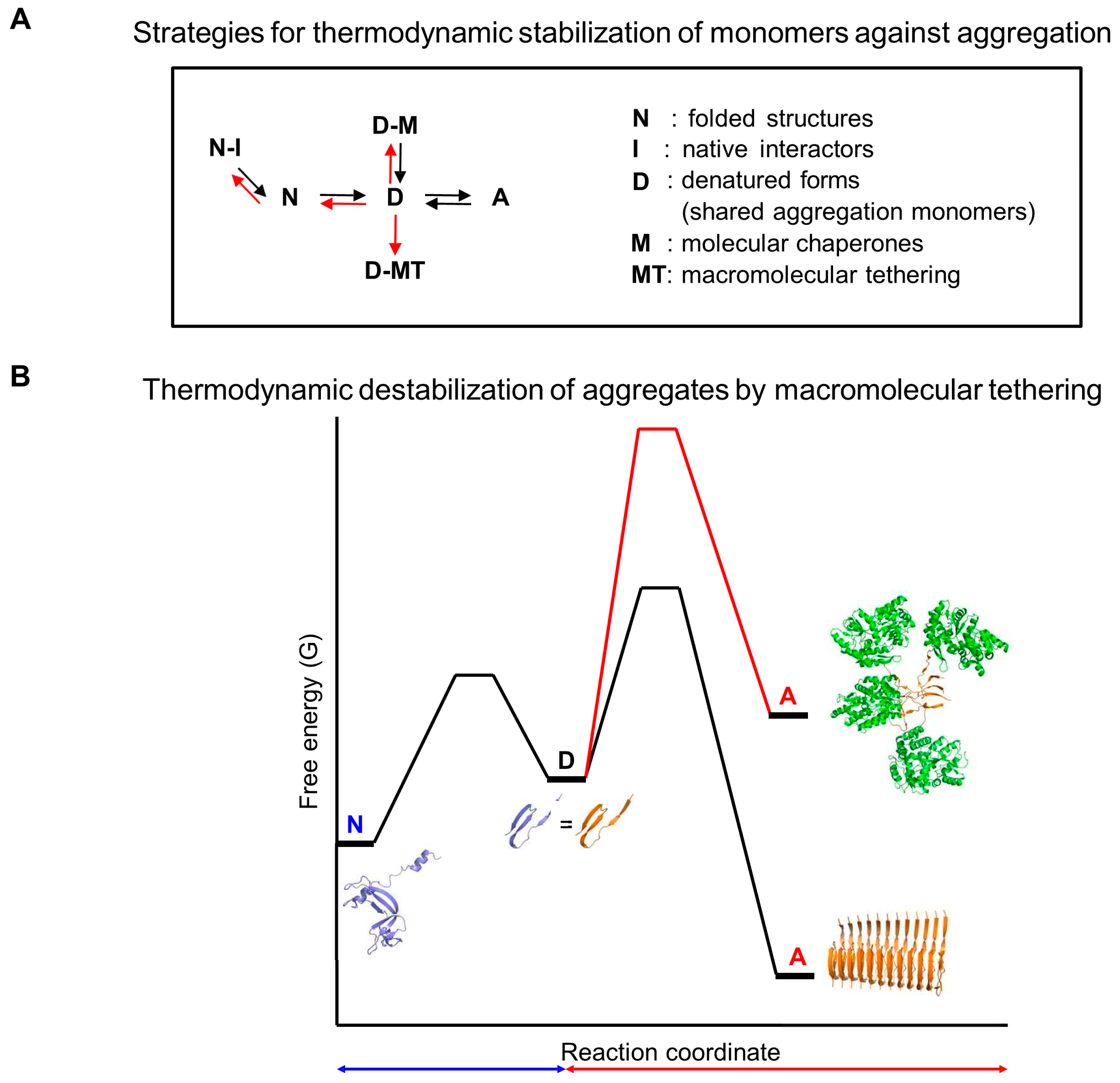 Ijms 26 00053 g010 Ijms 26 00053 g010