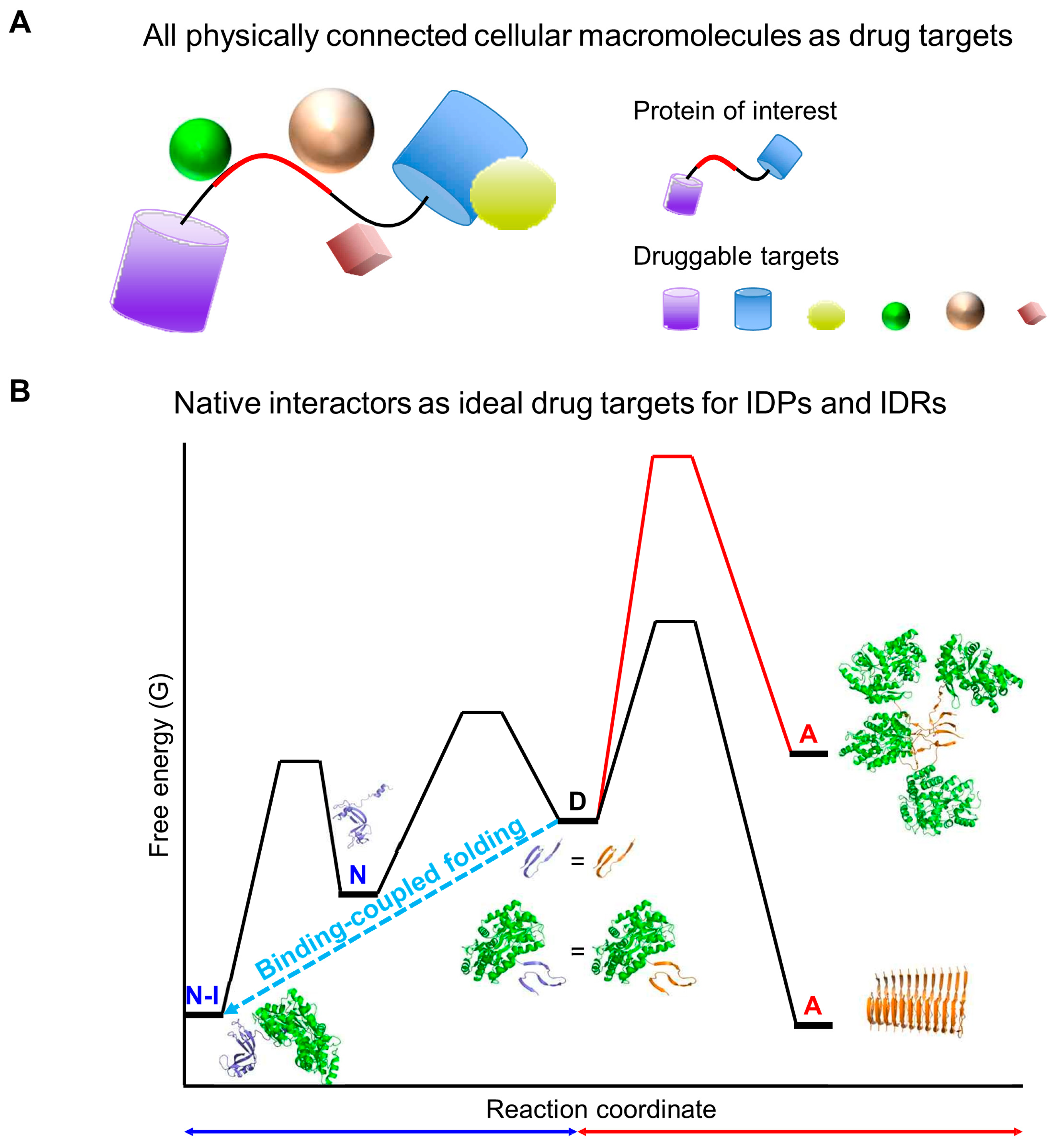Ijms 26 00053 g011 Ijms 26 00053 g011