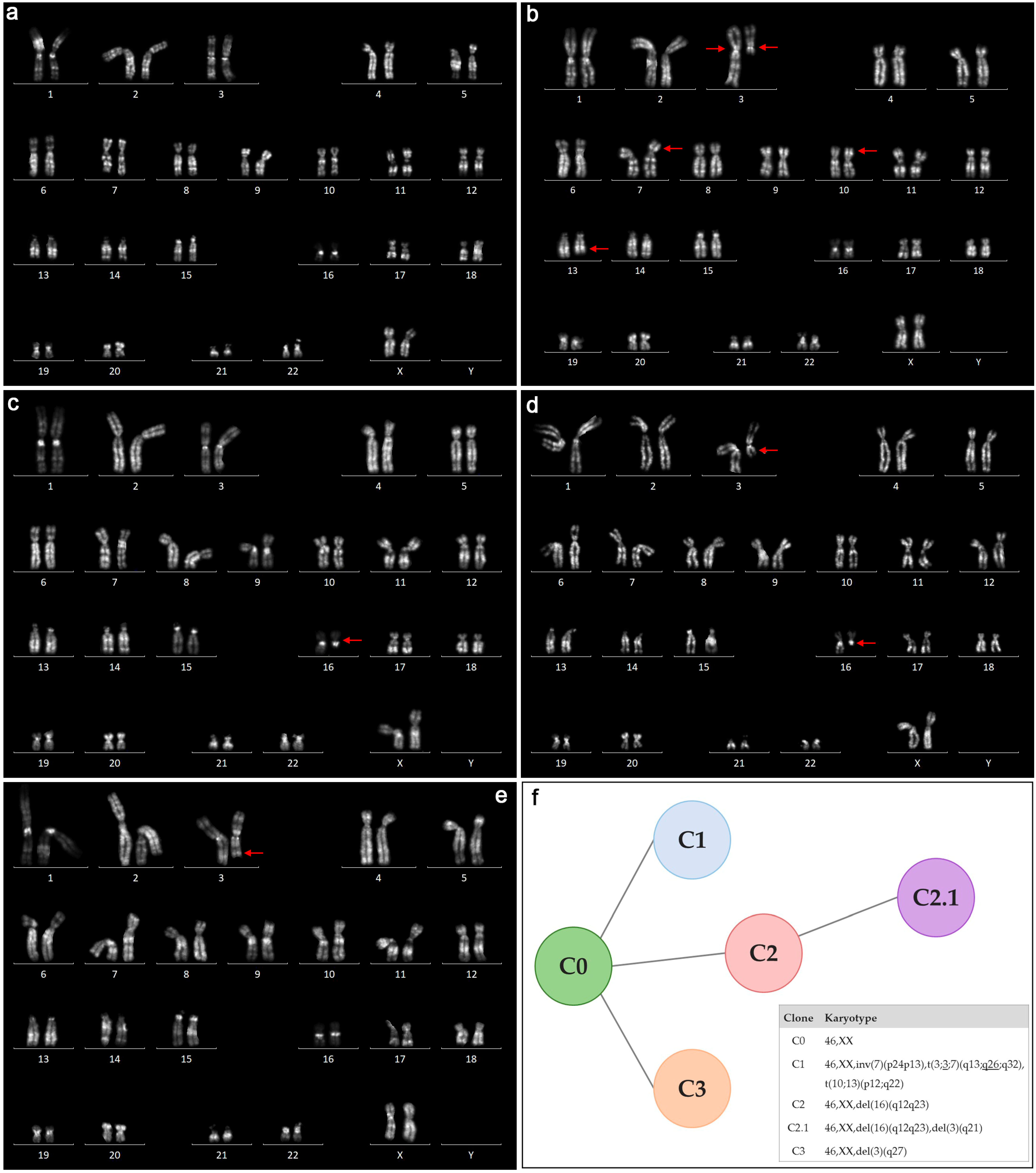 Ijms 26 00096 g001 Ijms 26 00096 g001