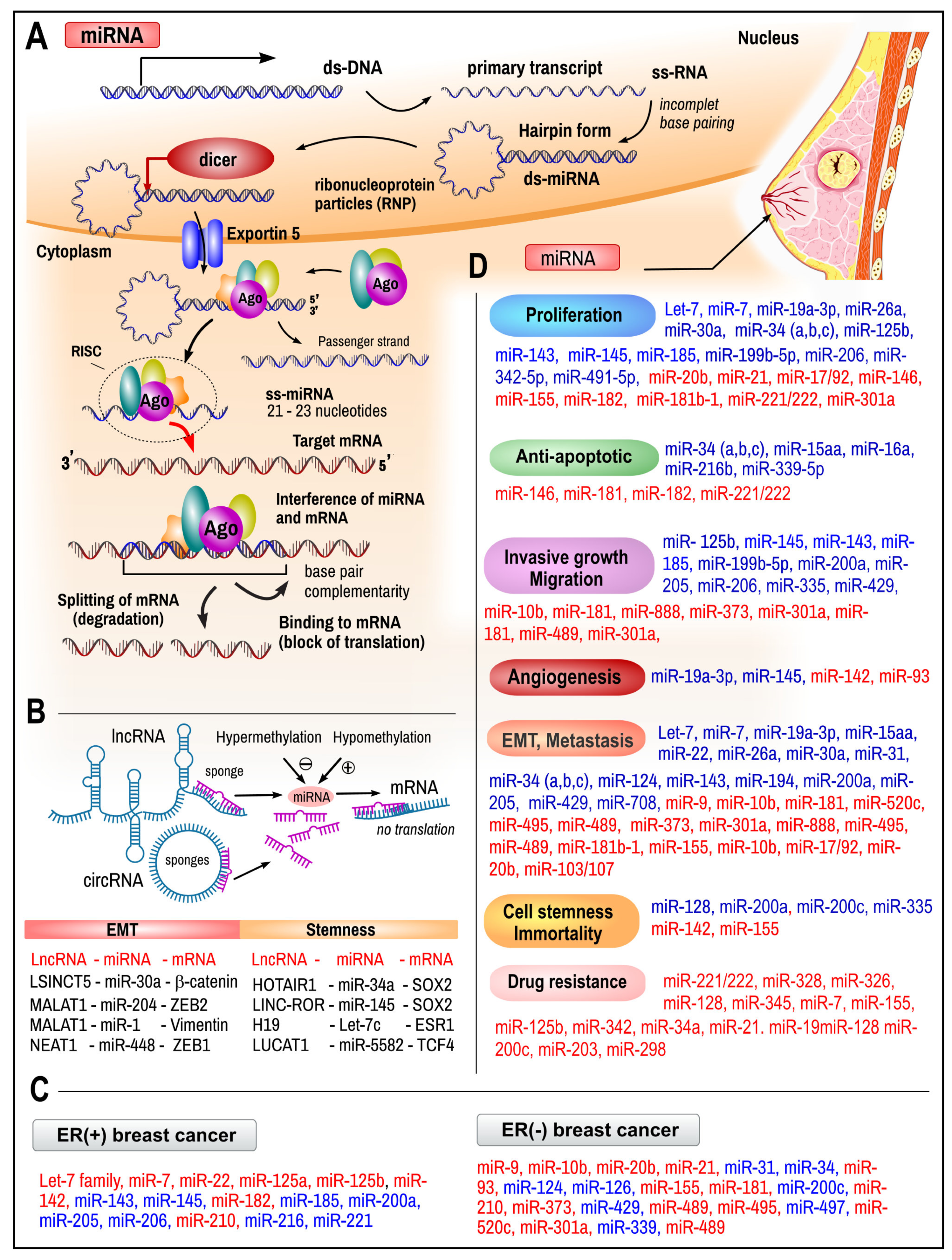 Ijms 26 00127 g003 Ijms 26 00127 g003