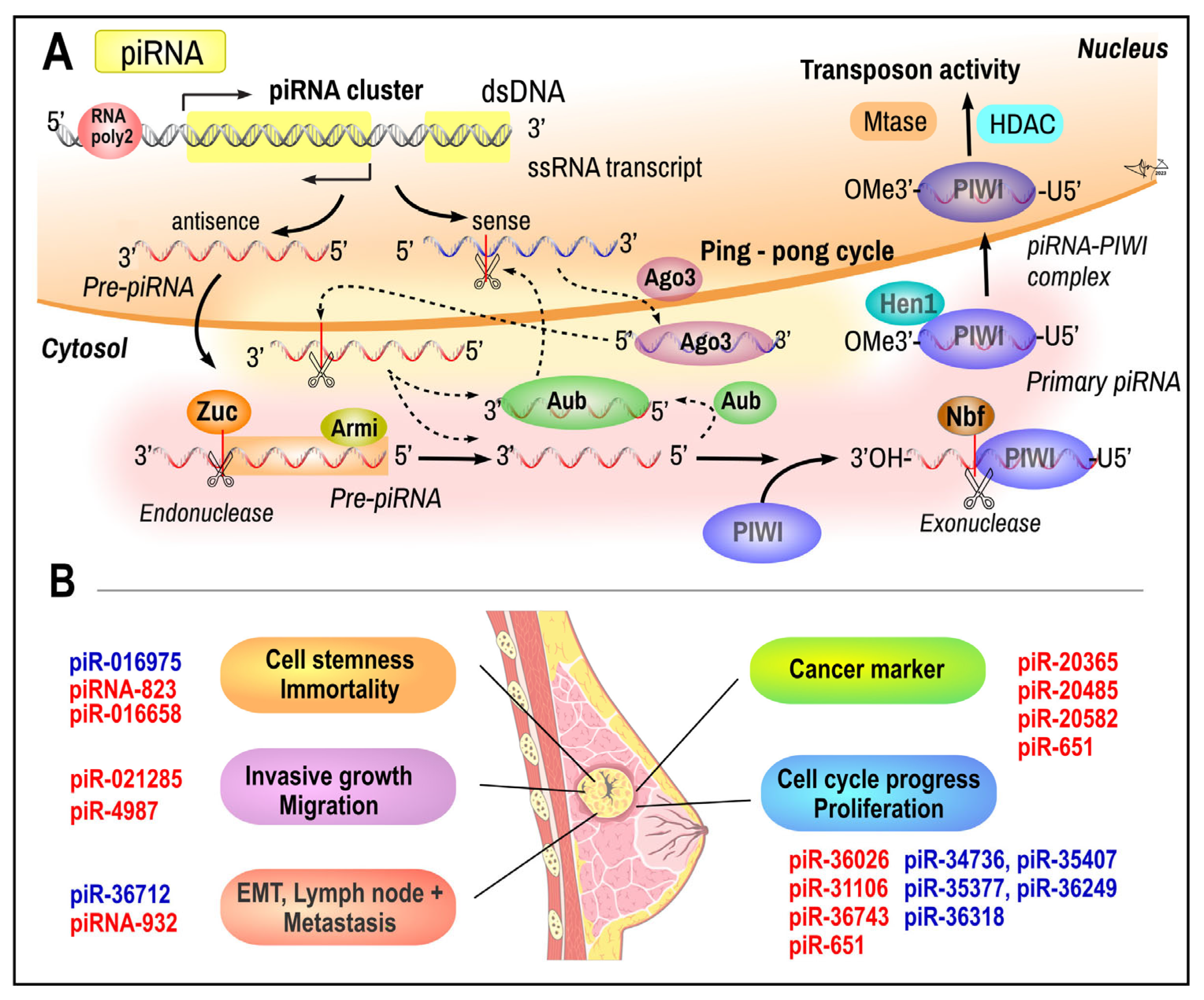 Ijms 26 00127 g005 Ijms 26 00127 g005