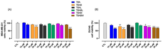 釈迦 World / Transcontinental Art / Works / Creation / Culture