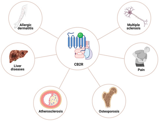 Cannabinoids: Role in Neurological Diseases and Psychiatric