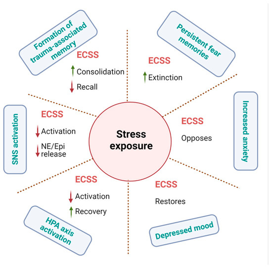 Cannabinoids: Role in Neurological Diseases and Psychiatric
