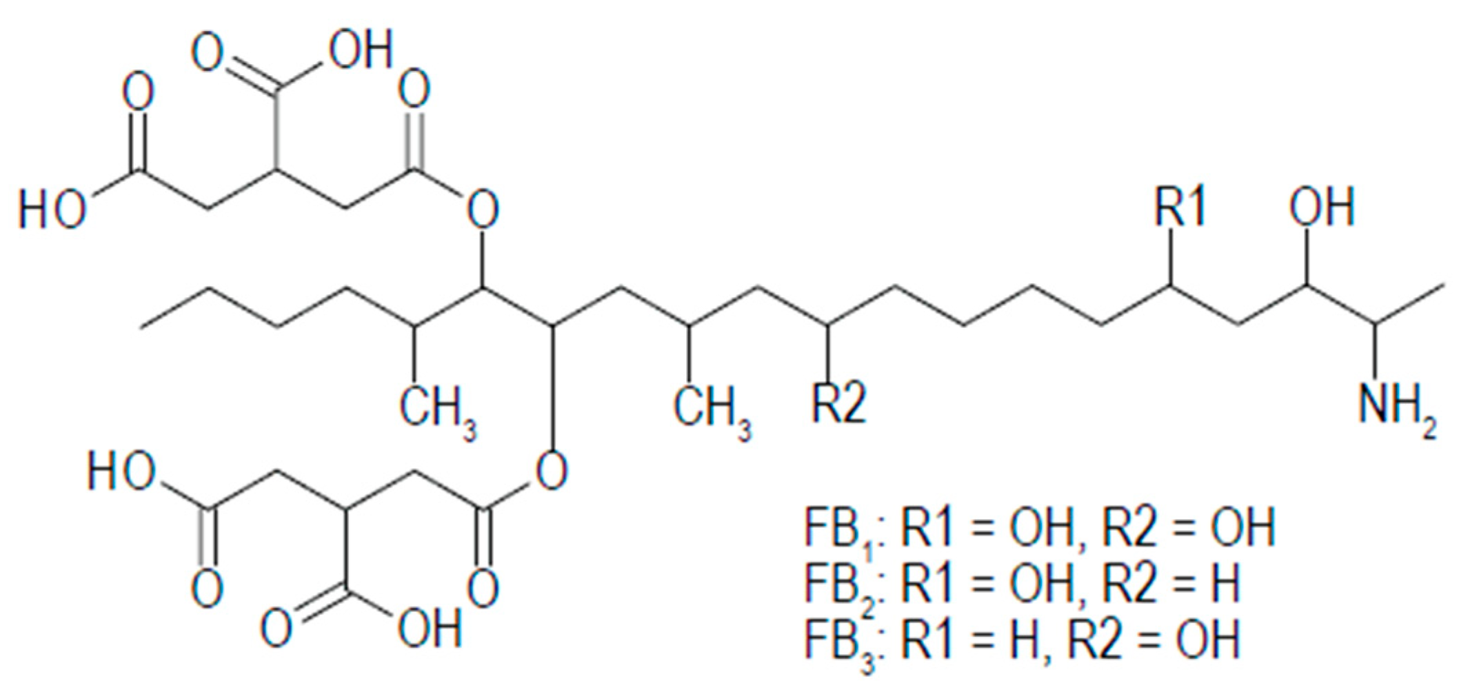 Ijms 26 00184 g001 Ijms 26 00184 g001