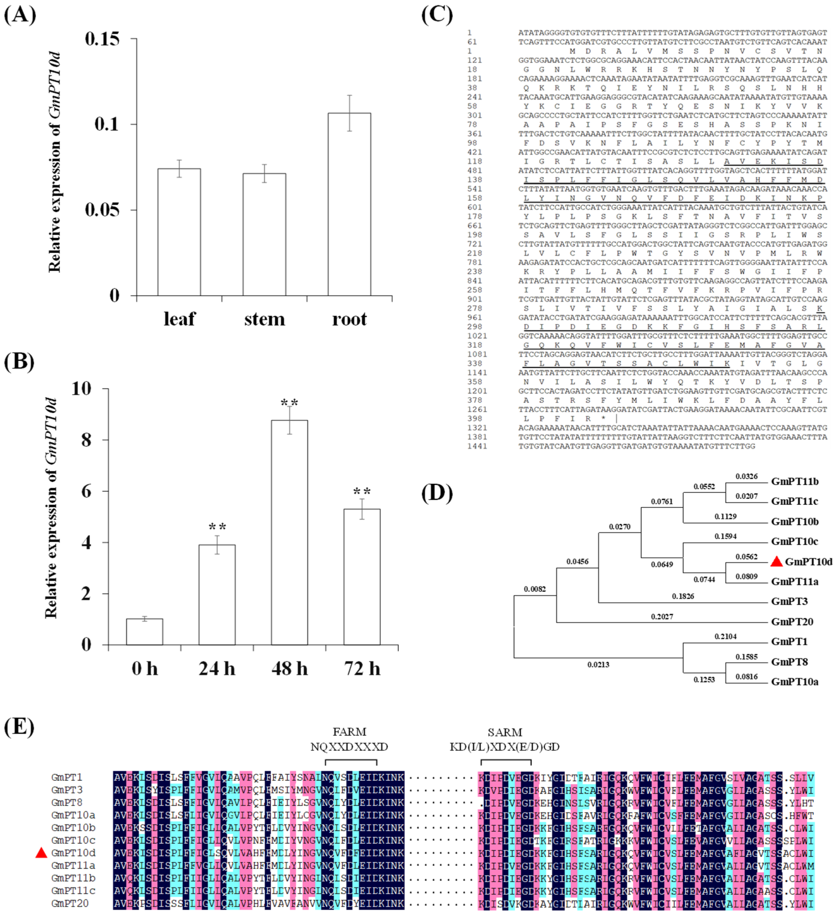 Ijms 26 00191 g001 Ijms 26 00191 g001