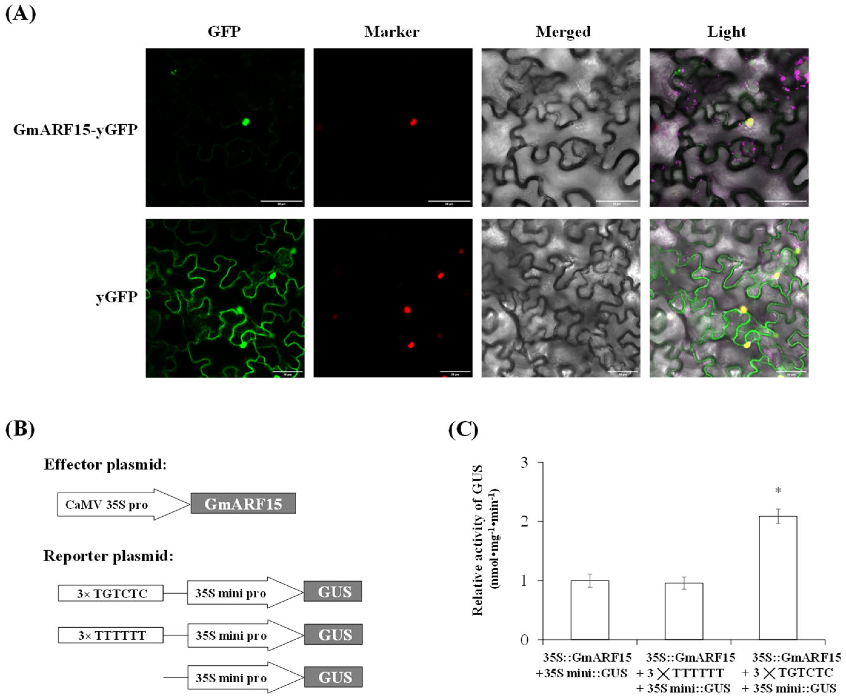 Ijms 26 00191 g004 Ijms 26 00191 g004