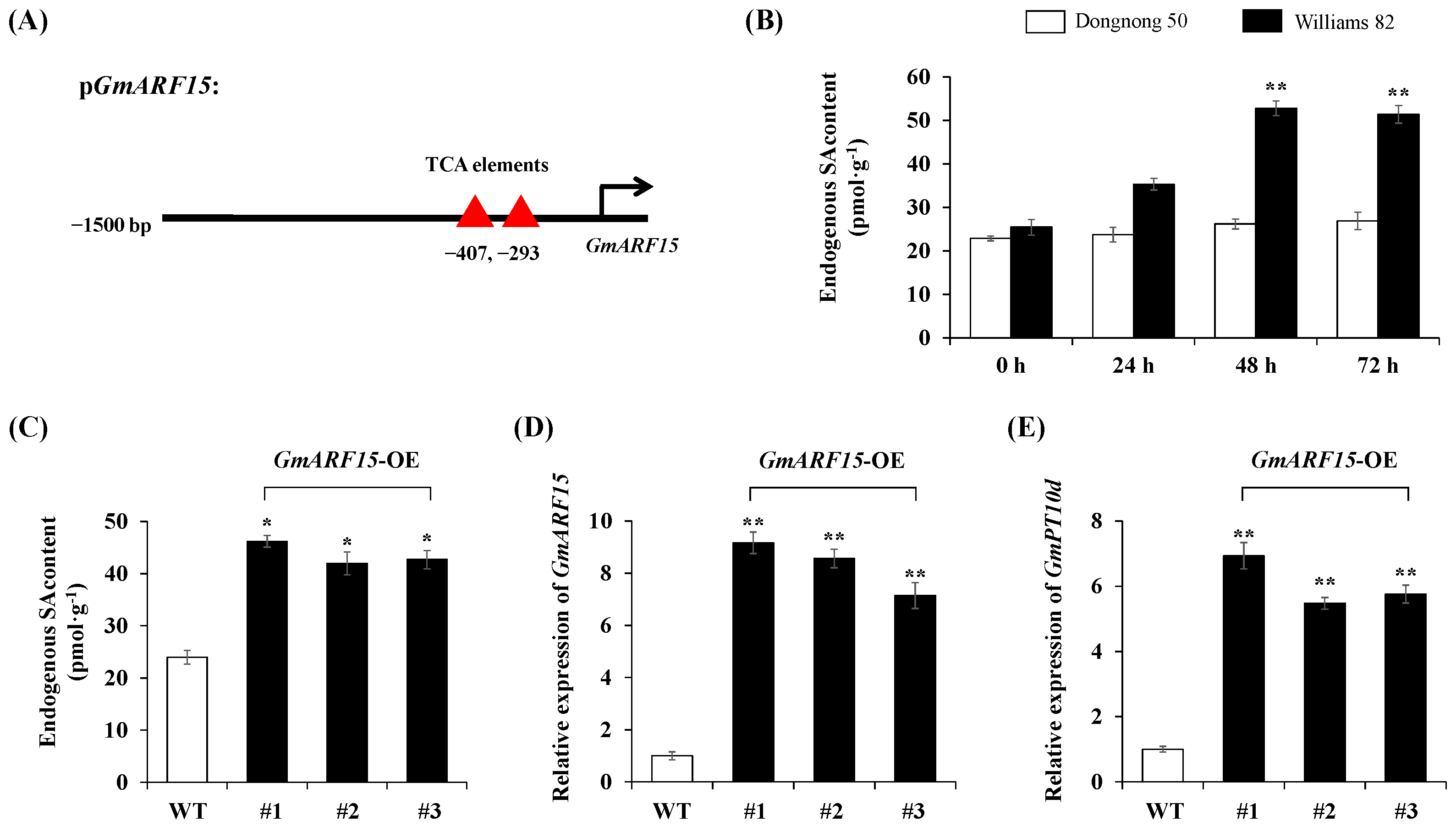 Ijms 26 00191 g006 Ijms 26 00191 g006