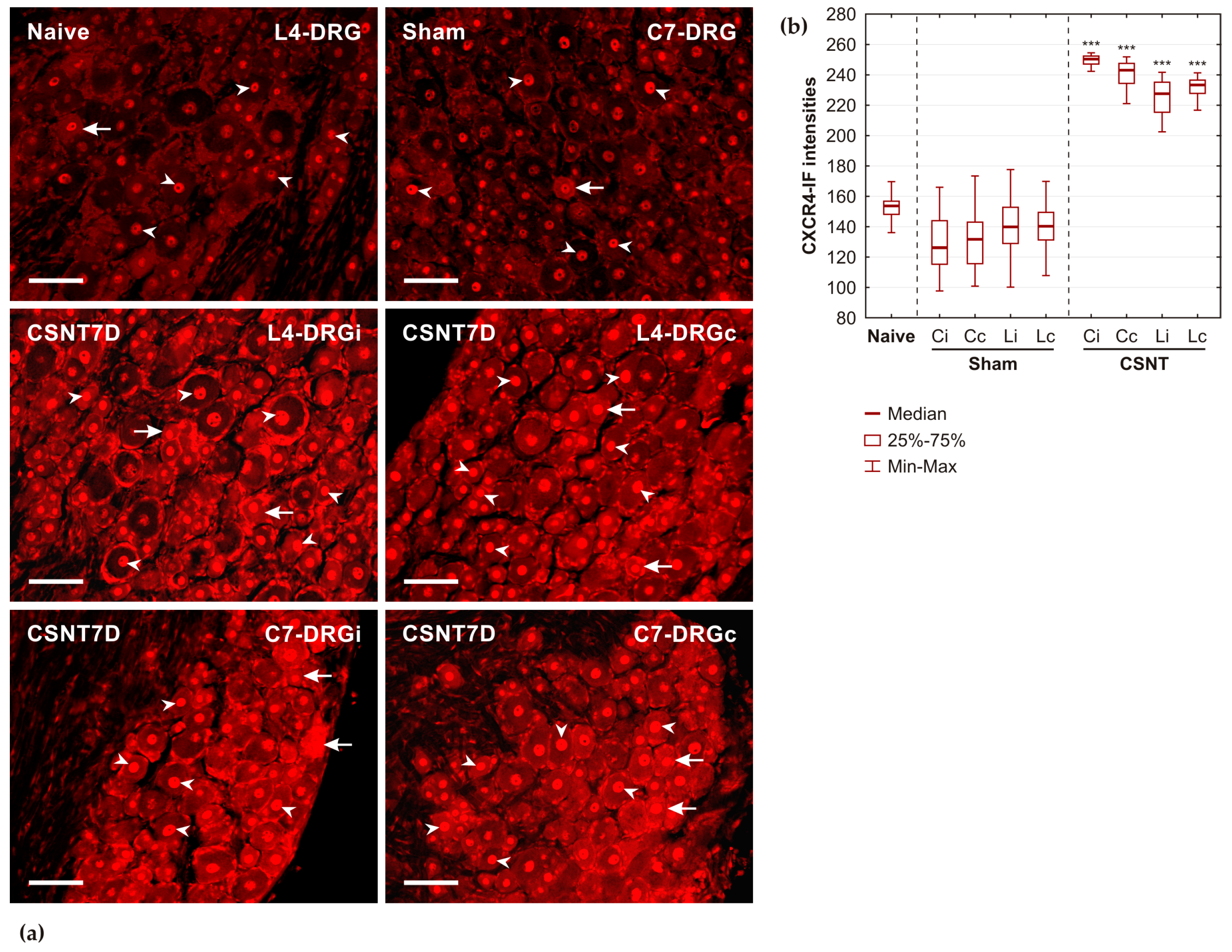 Ijms 26 00193 g002 Ijms 26 00193 g002
