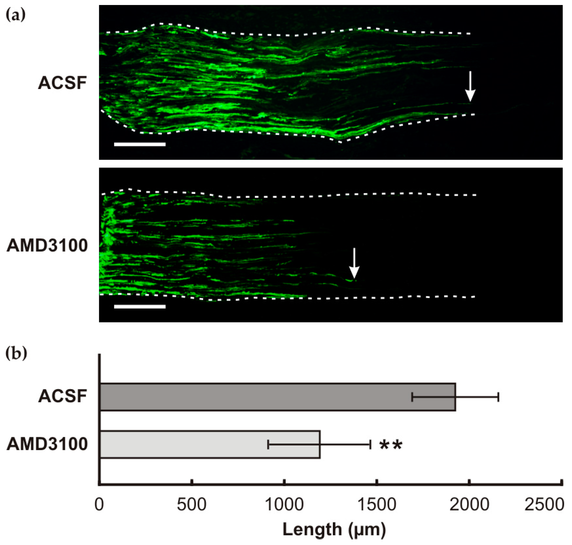 Ijms 26 00193 g005 Ijms 26 00193 g005