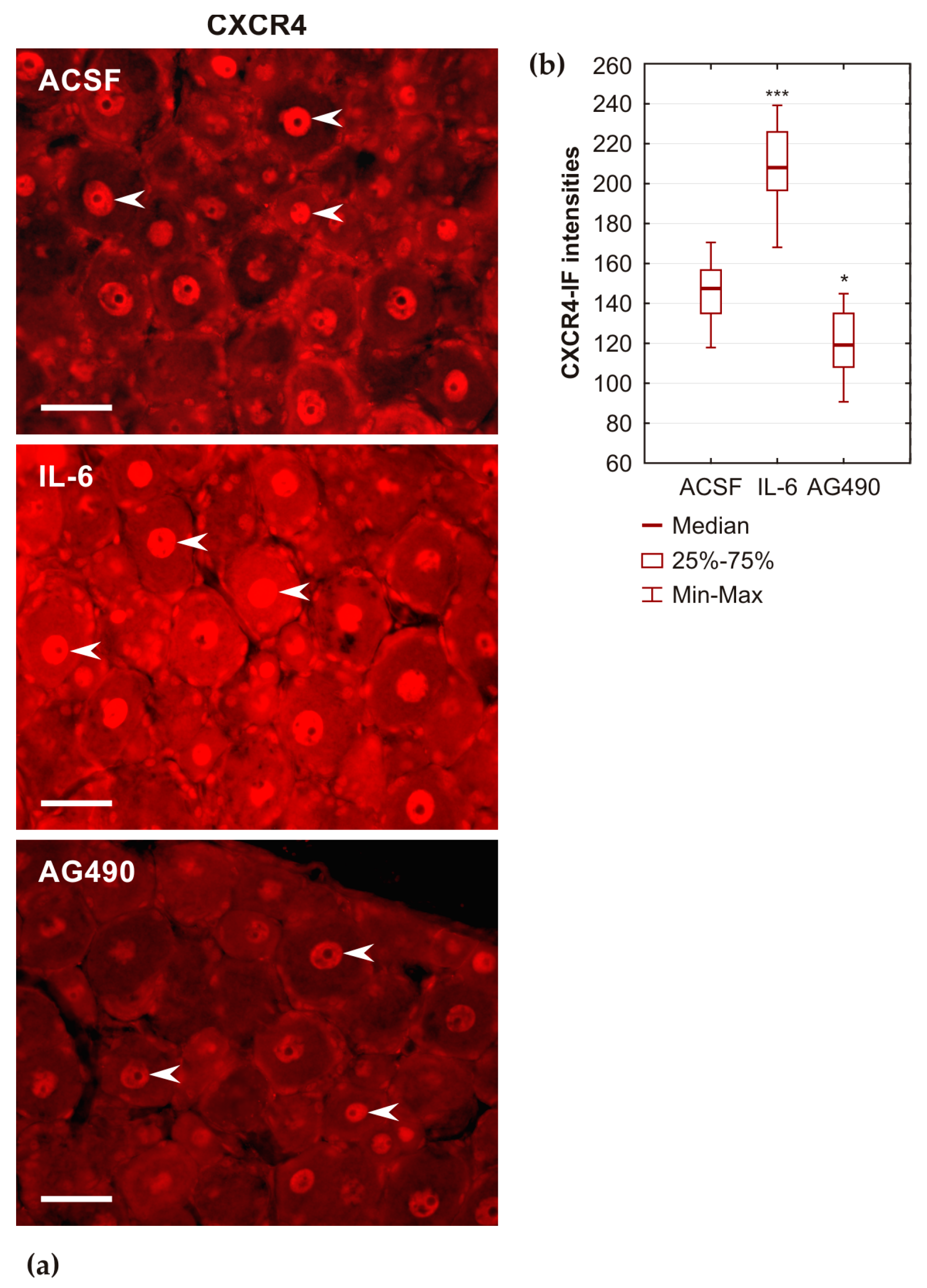 Ijms 26 00193 g008 Ijms 26 00193 g008