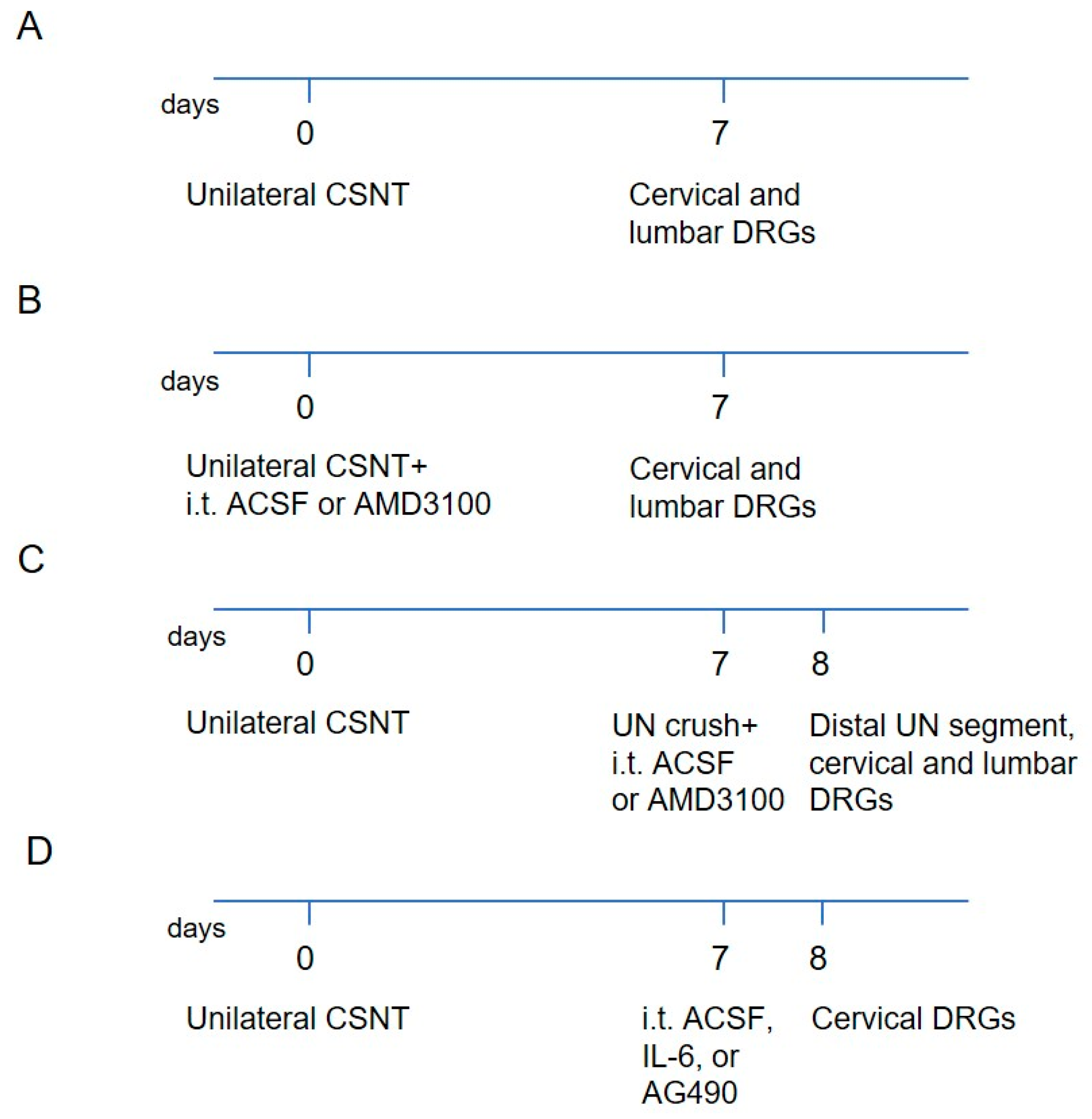 Ijms 26 00193 g010 Ijms 26 00193 g010