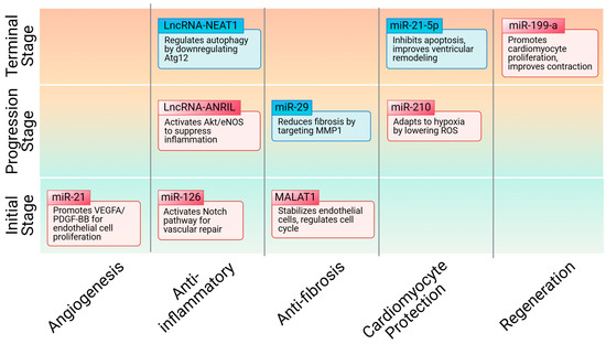 Innovative Therapeutic Strategies for Myocardial Infarction