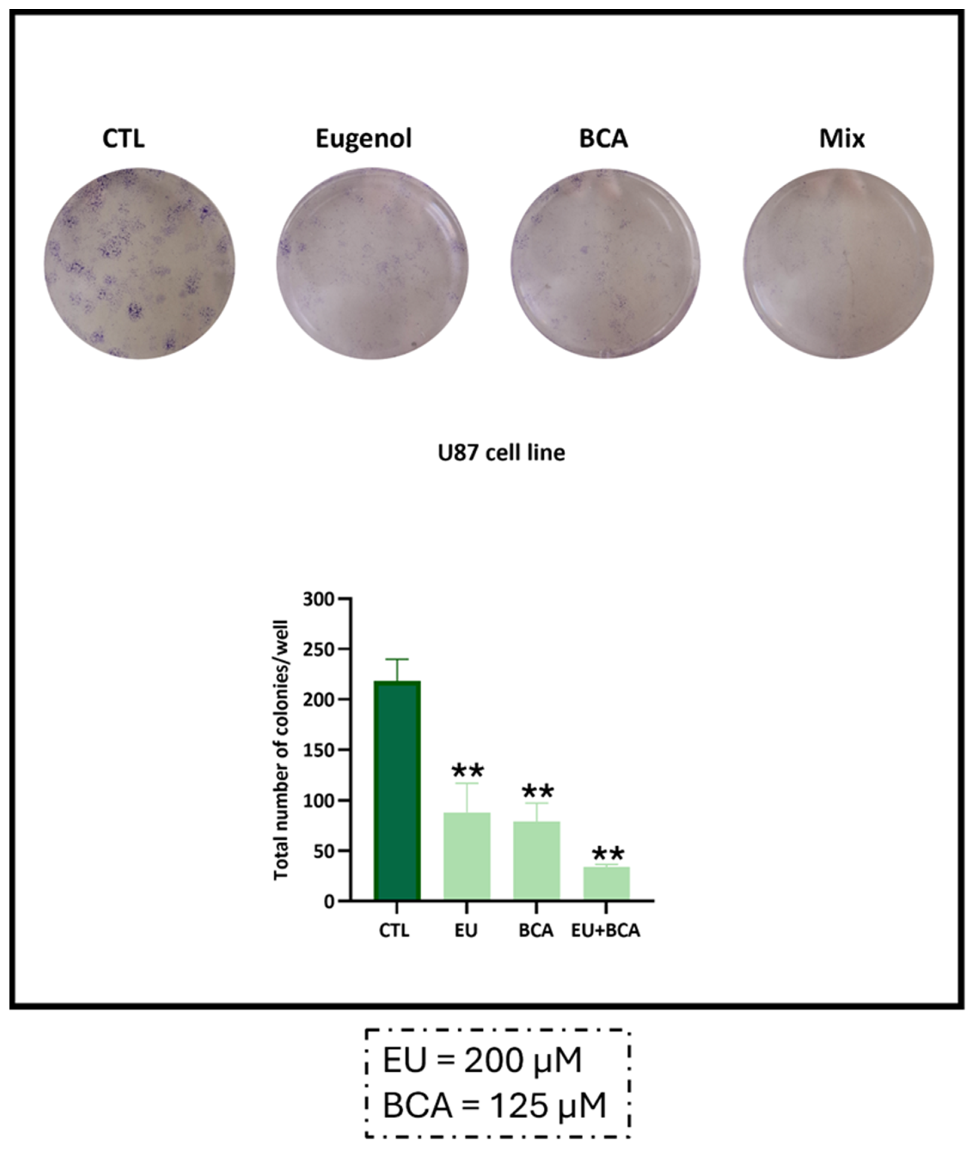 Ijms 26 00238 g007 Ijms 26 00238 g007