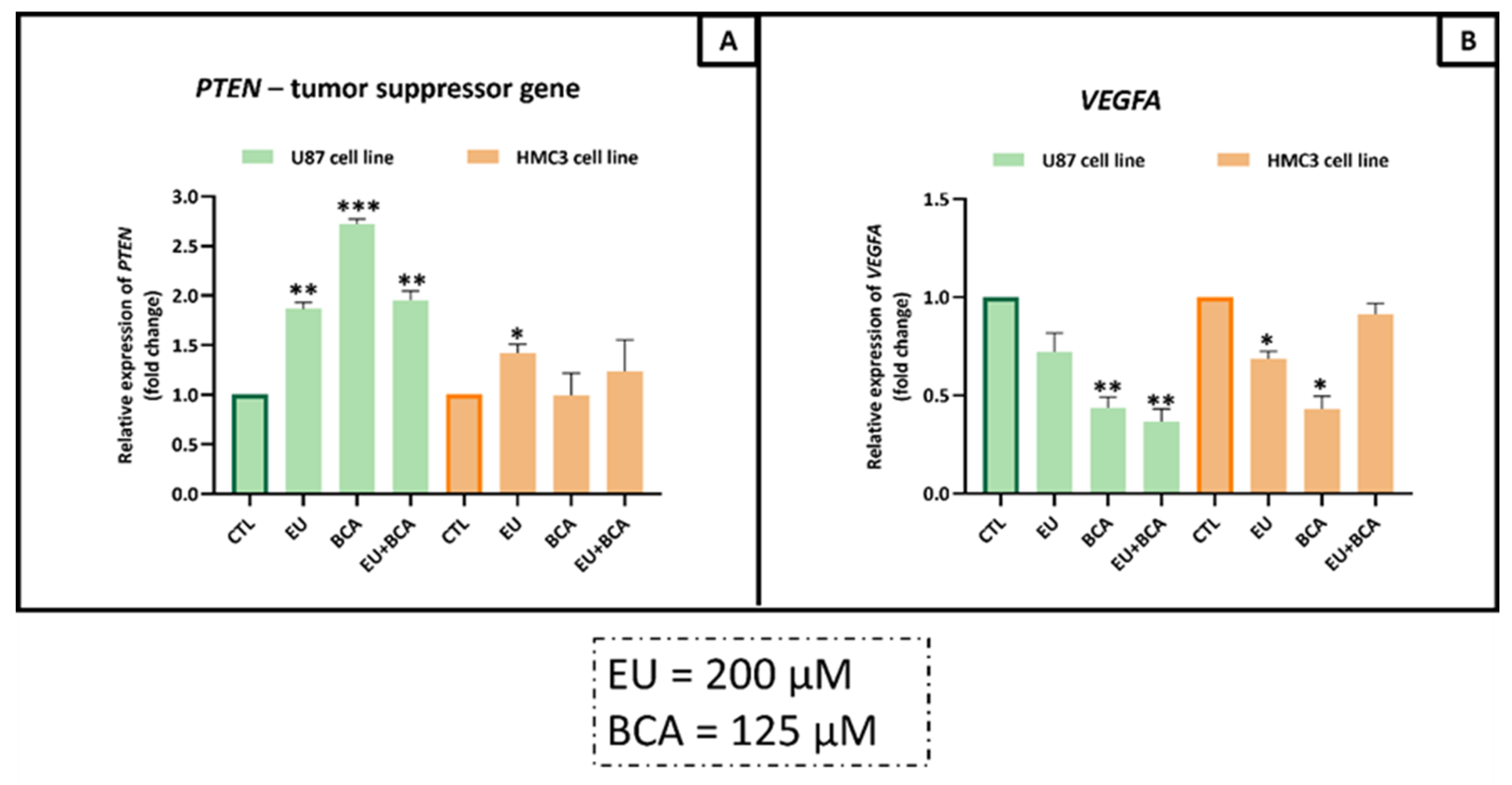 Ijms 26 00238 g013 Ijms 26 00238 g013