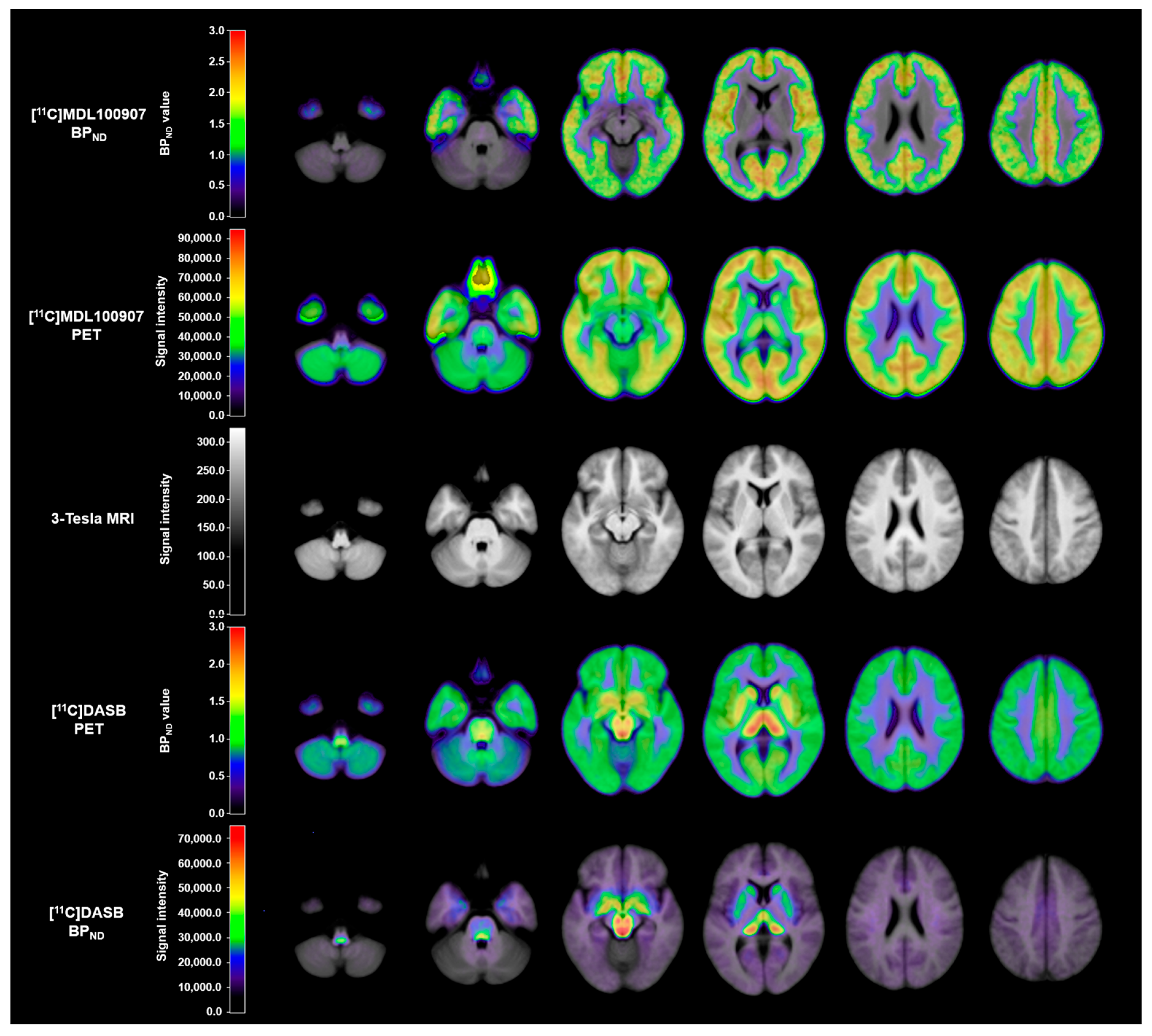 Ijms 26 00252 g003 Ijms 26 00252 g003