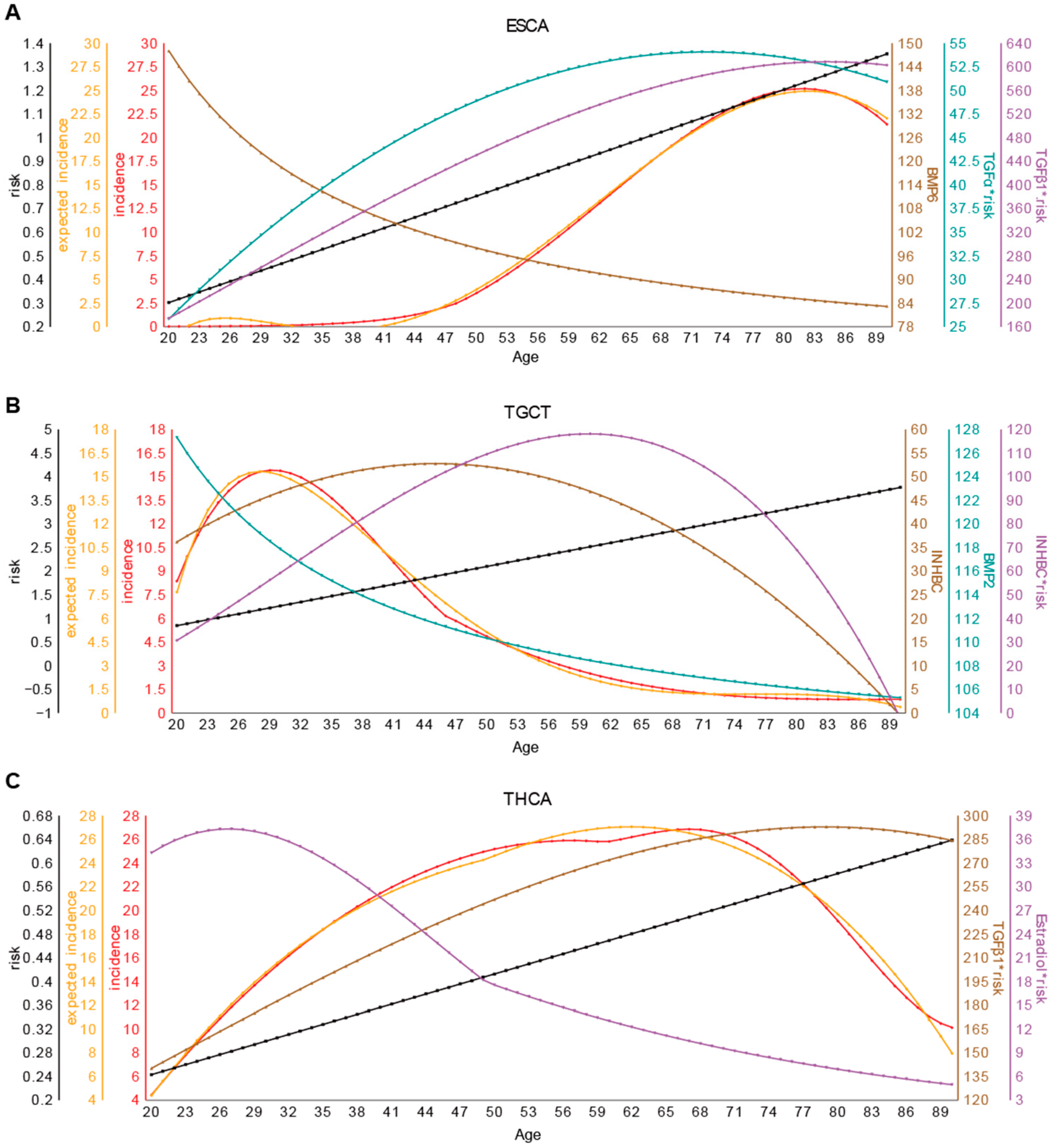 Ijms 26 00275 g002 Ijms 26 00275 g002