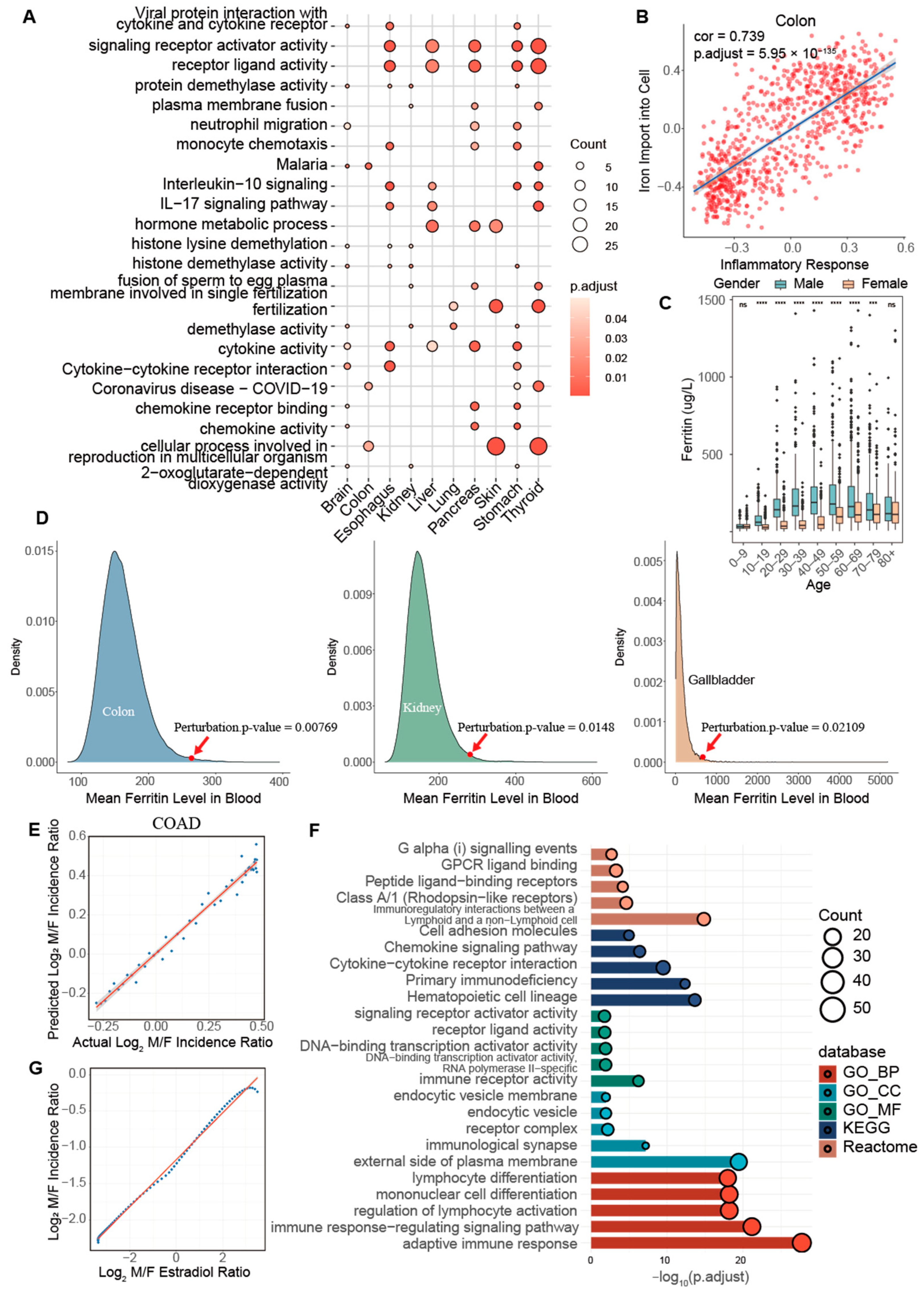 Ijms 26 00275 g005 Ijms 26 00275 g005